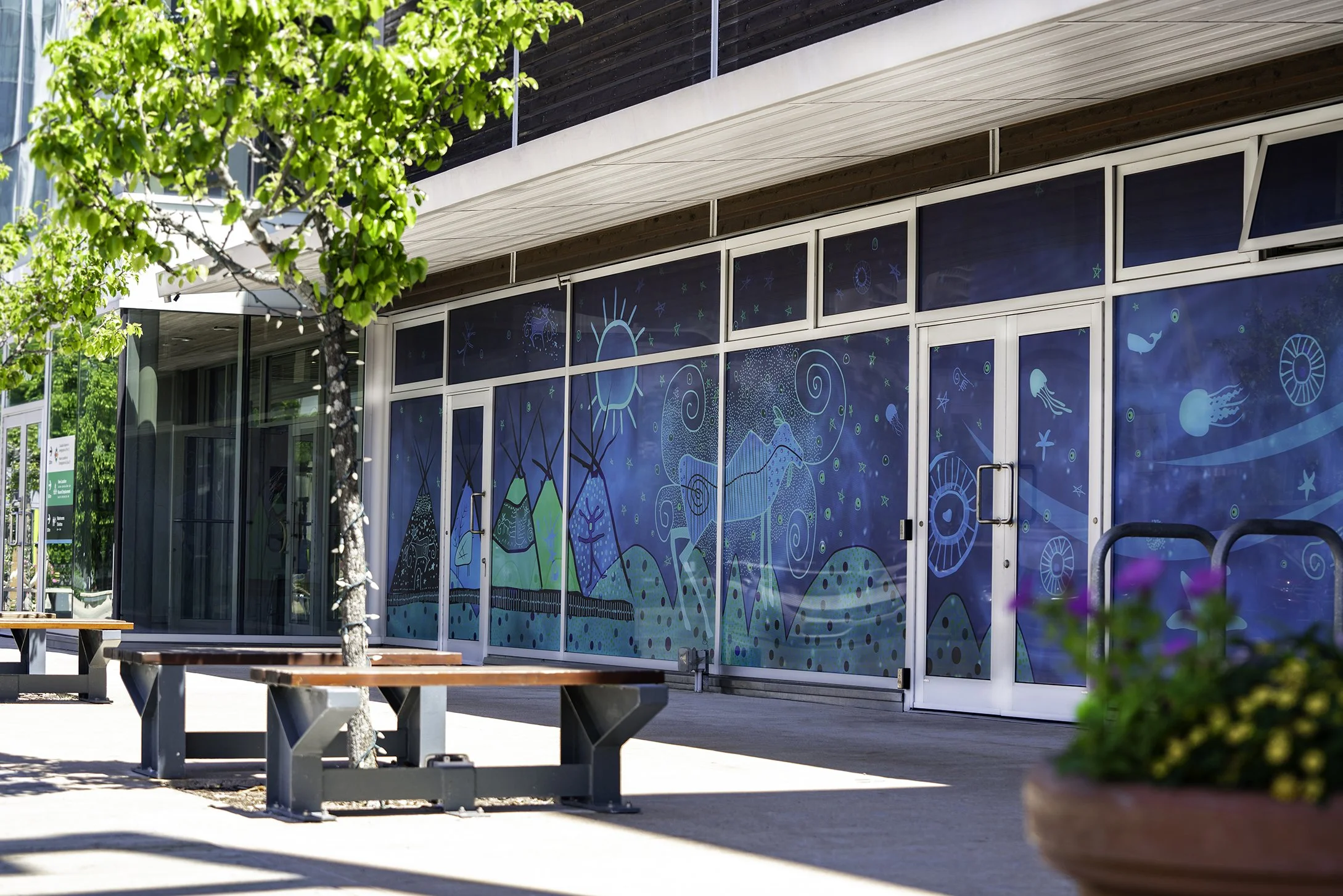 DSC06120-Edit copy.JPG