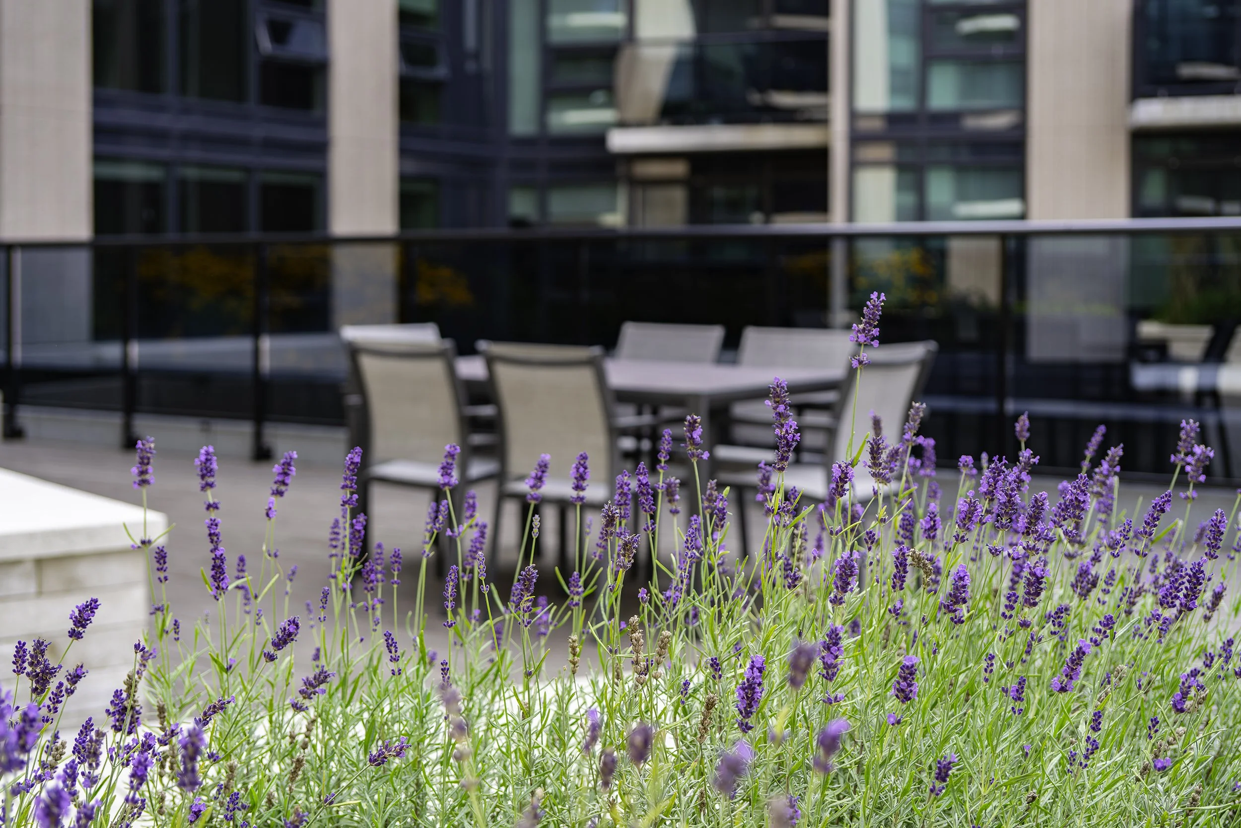 Terrace 003 copy.jpg