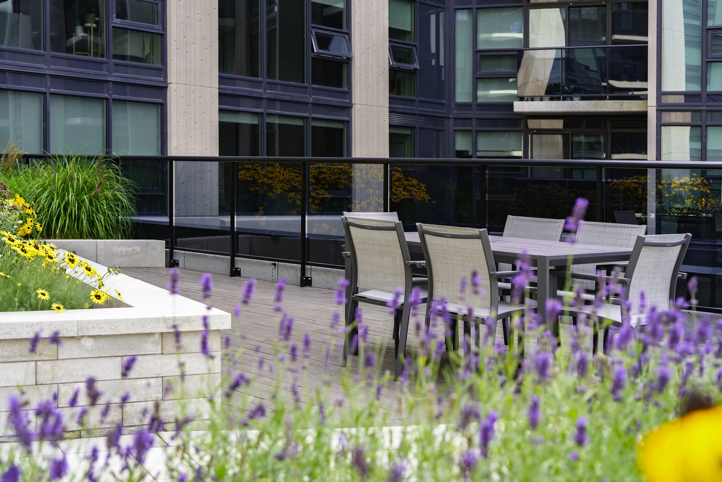 Terrace 005 copy.jpg