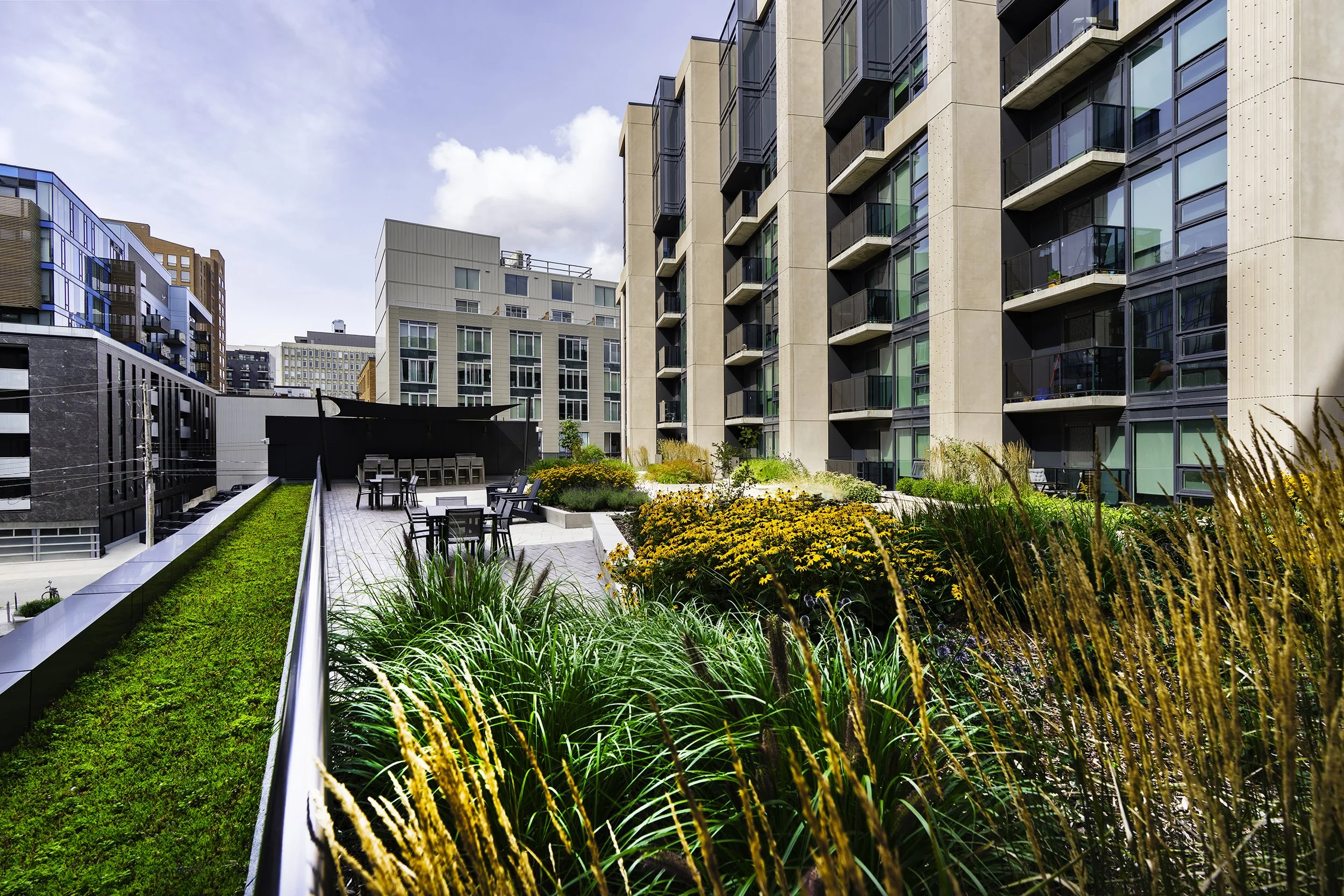 Terrace 010 copy.jpg