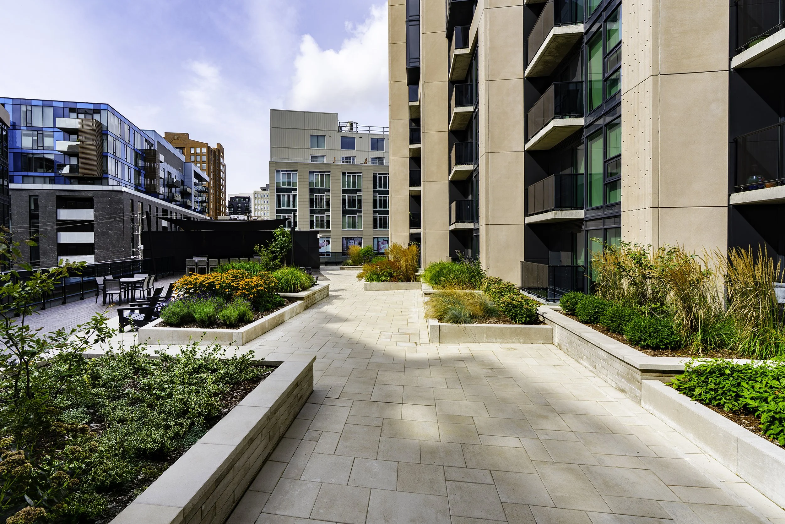 Terrace 011 copy.jpg