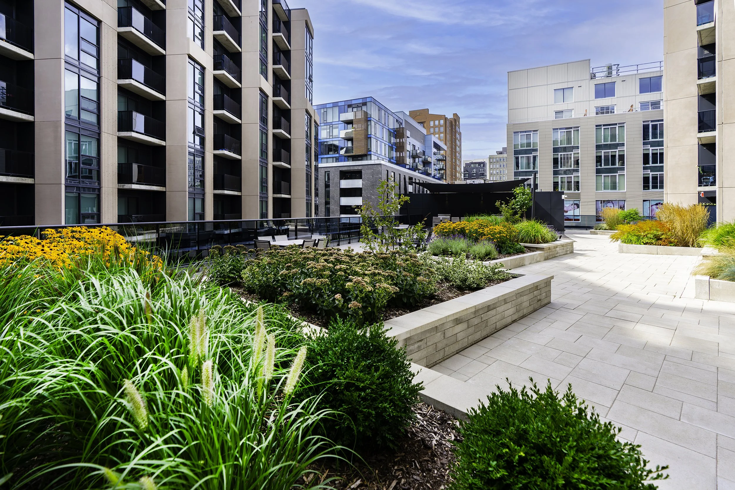 Terrace 012 copy.jpg