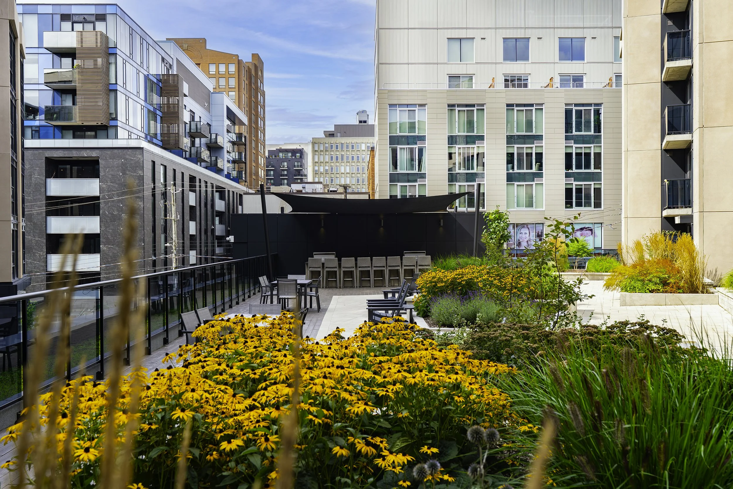 Terrace 014 copy.jpg