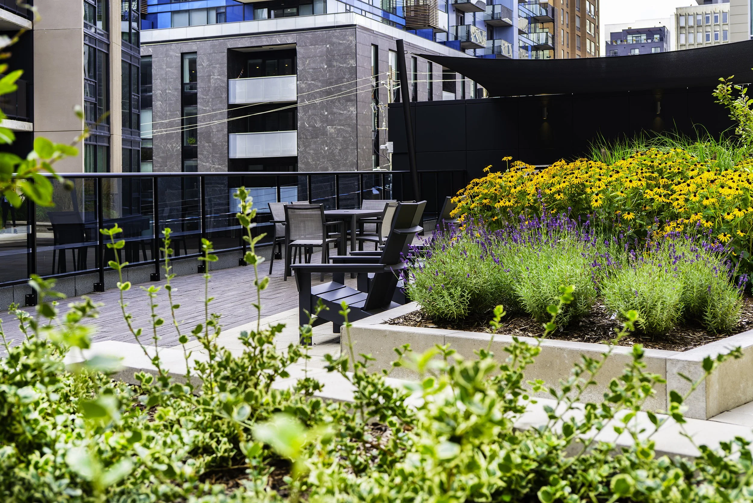 Terrace 017 copy.jpg