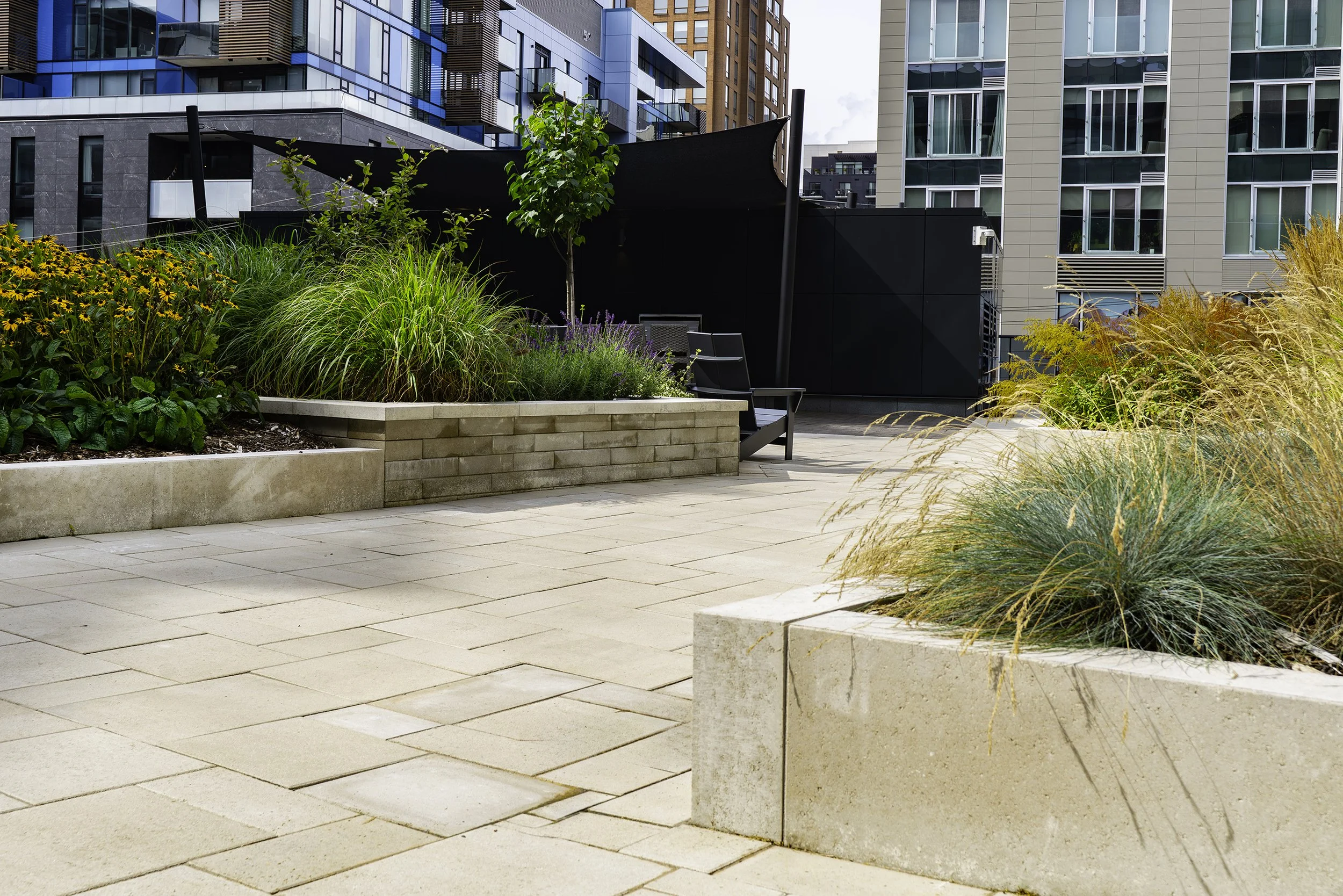 Terrace 018 copy.jpg