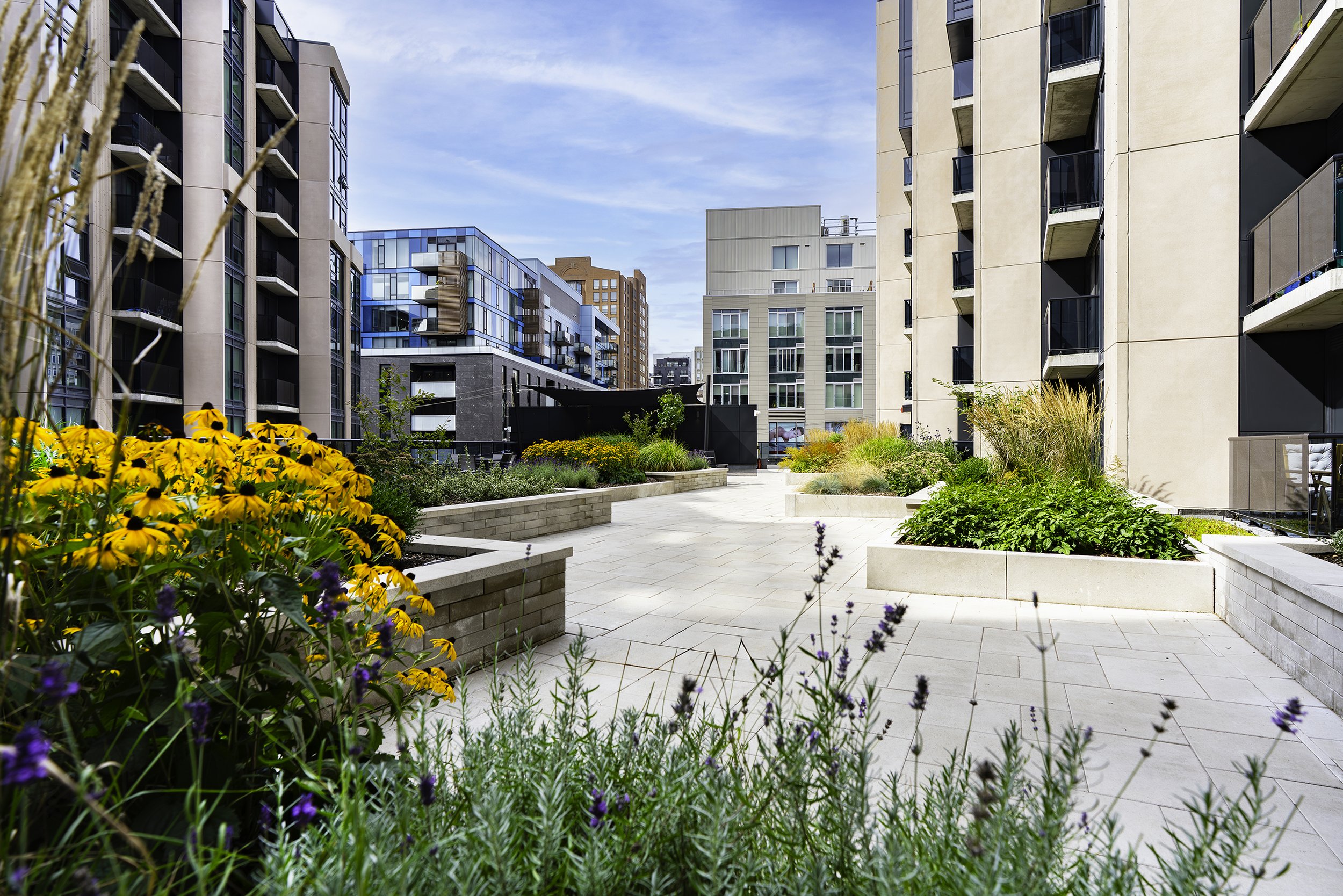 Terrace 019 copy.jpg