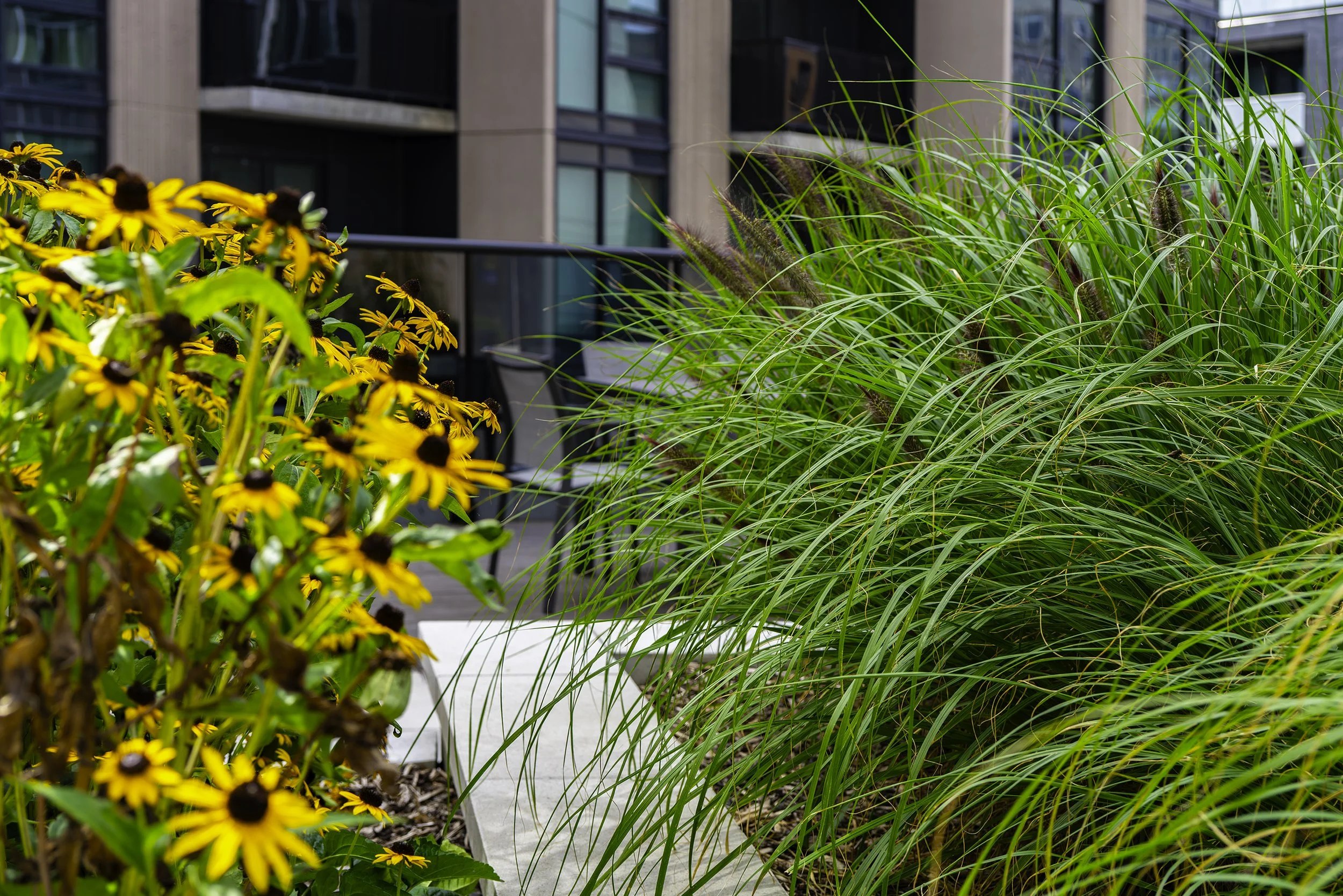 Terrace 023 copy.jpg