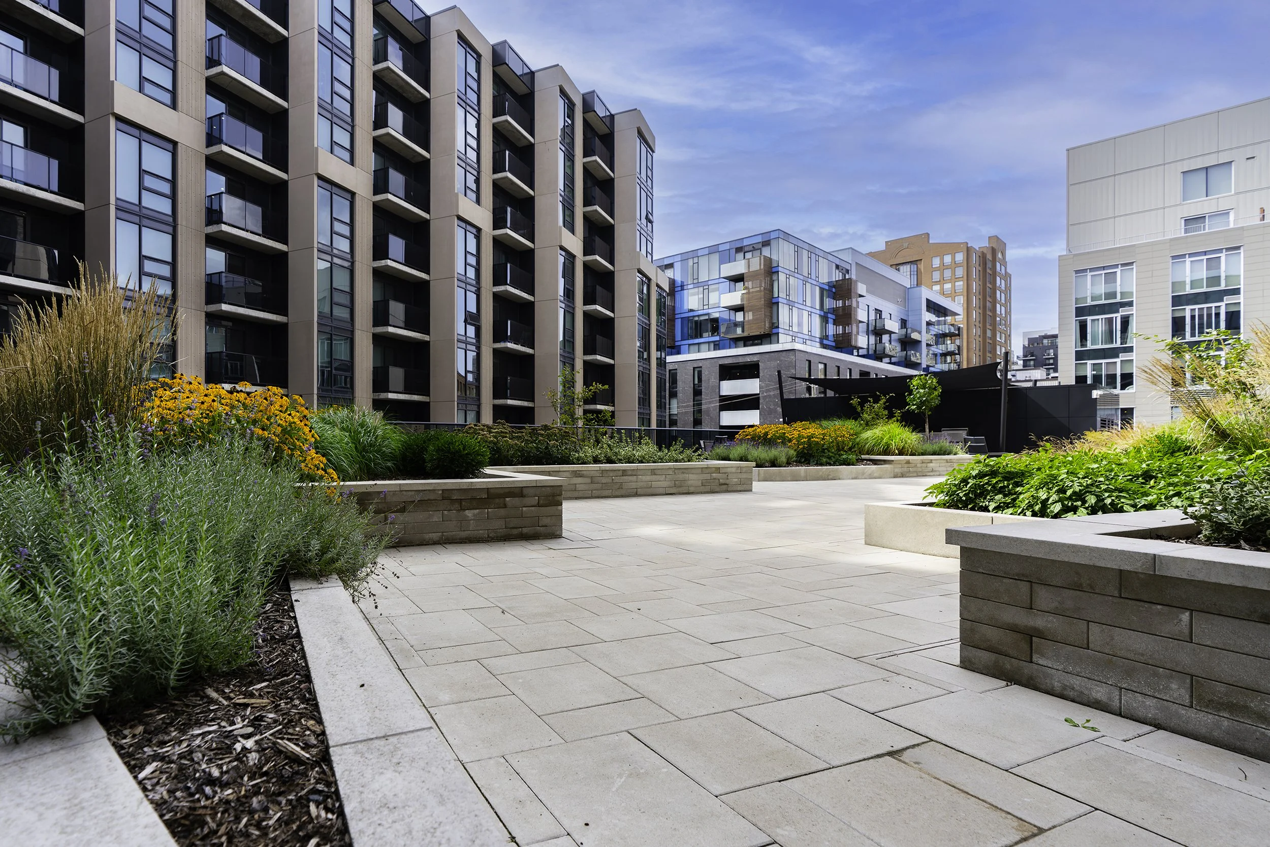 Terrace 024 copy.jpg