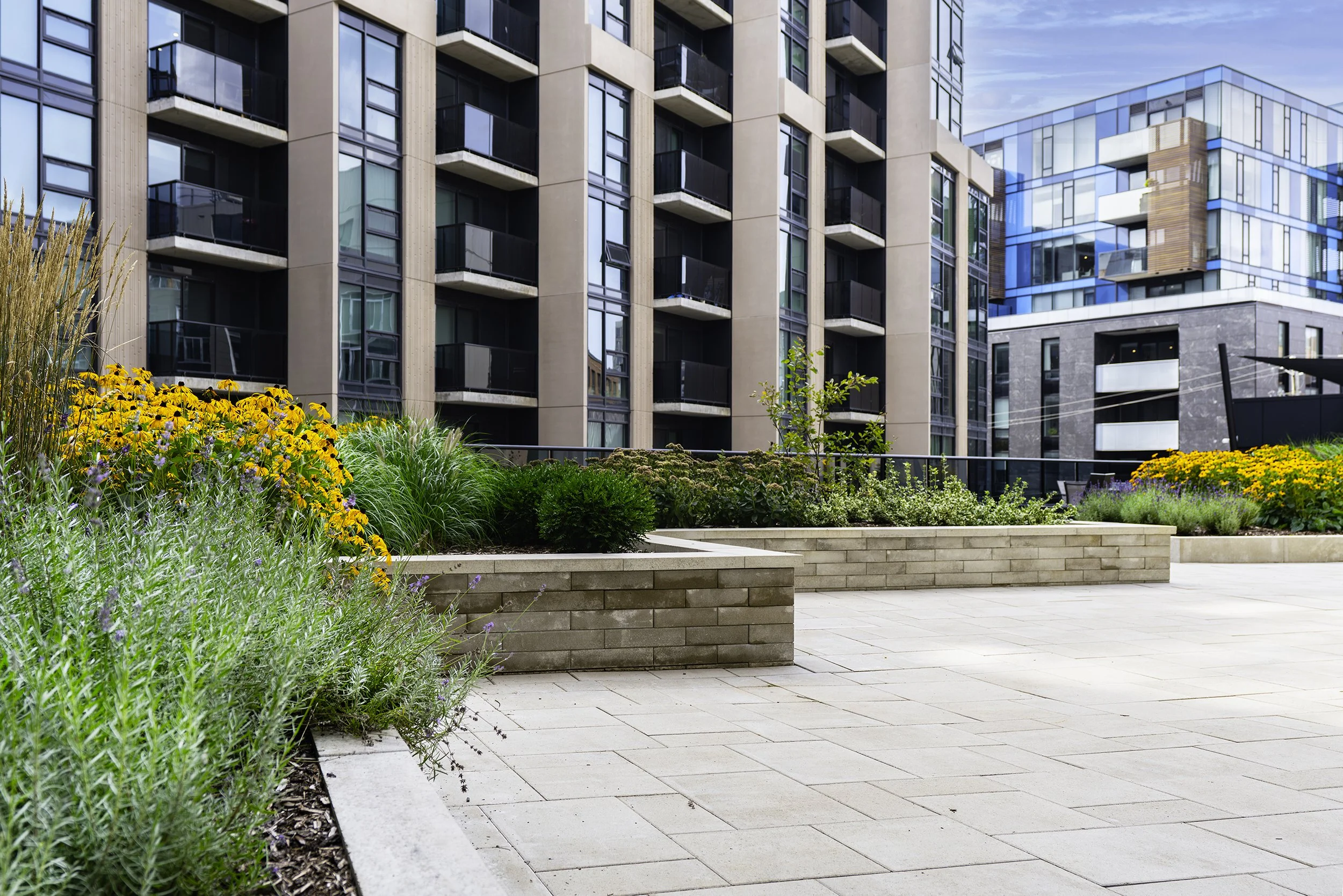 Terrace 025 copy.jpg