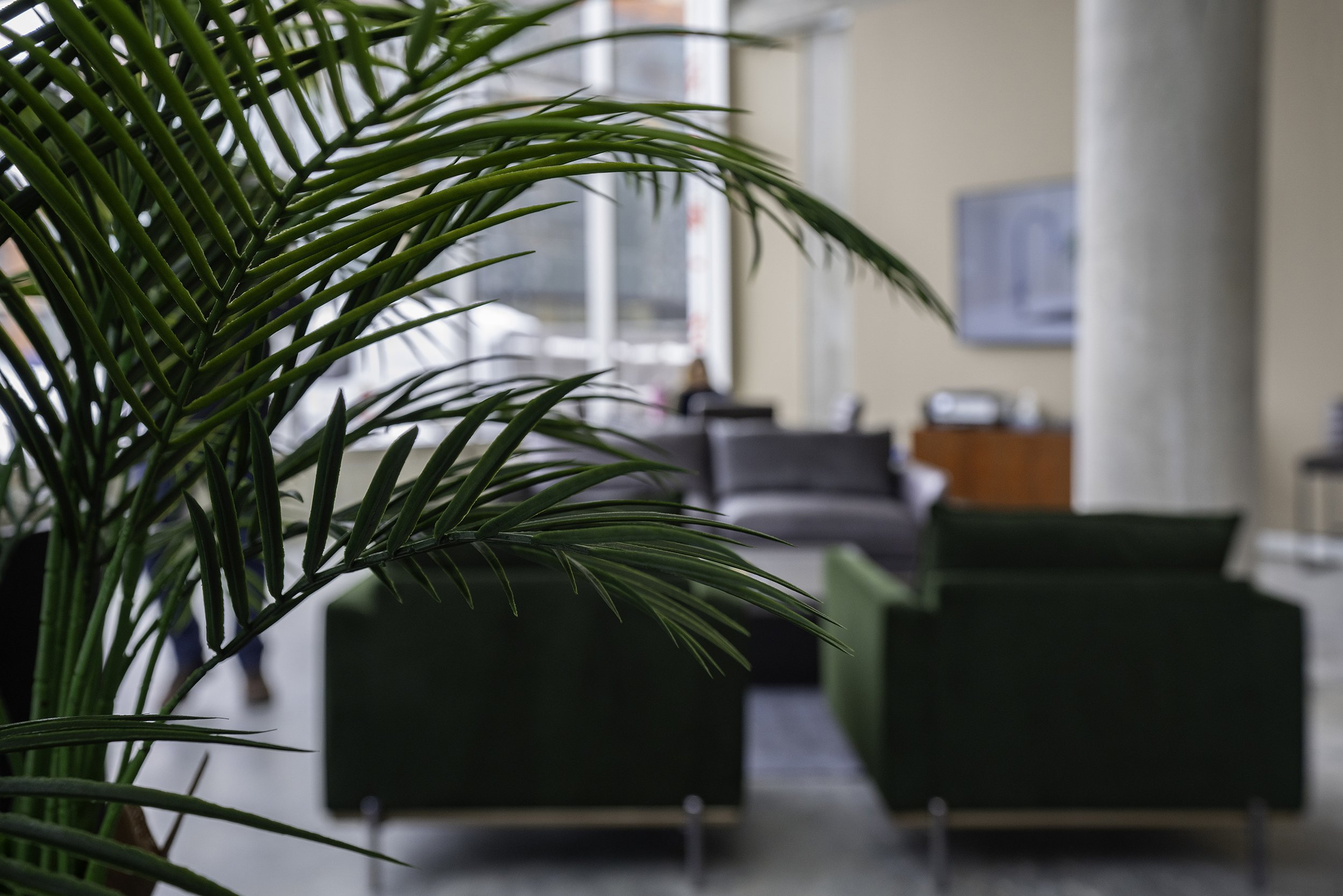 DSC02006-Edit copy.jpg