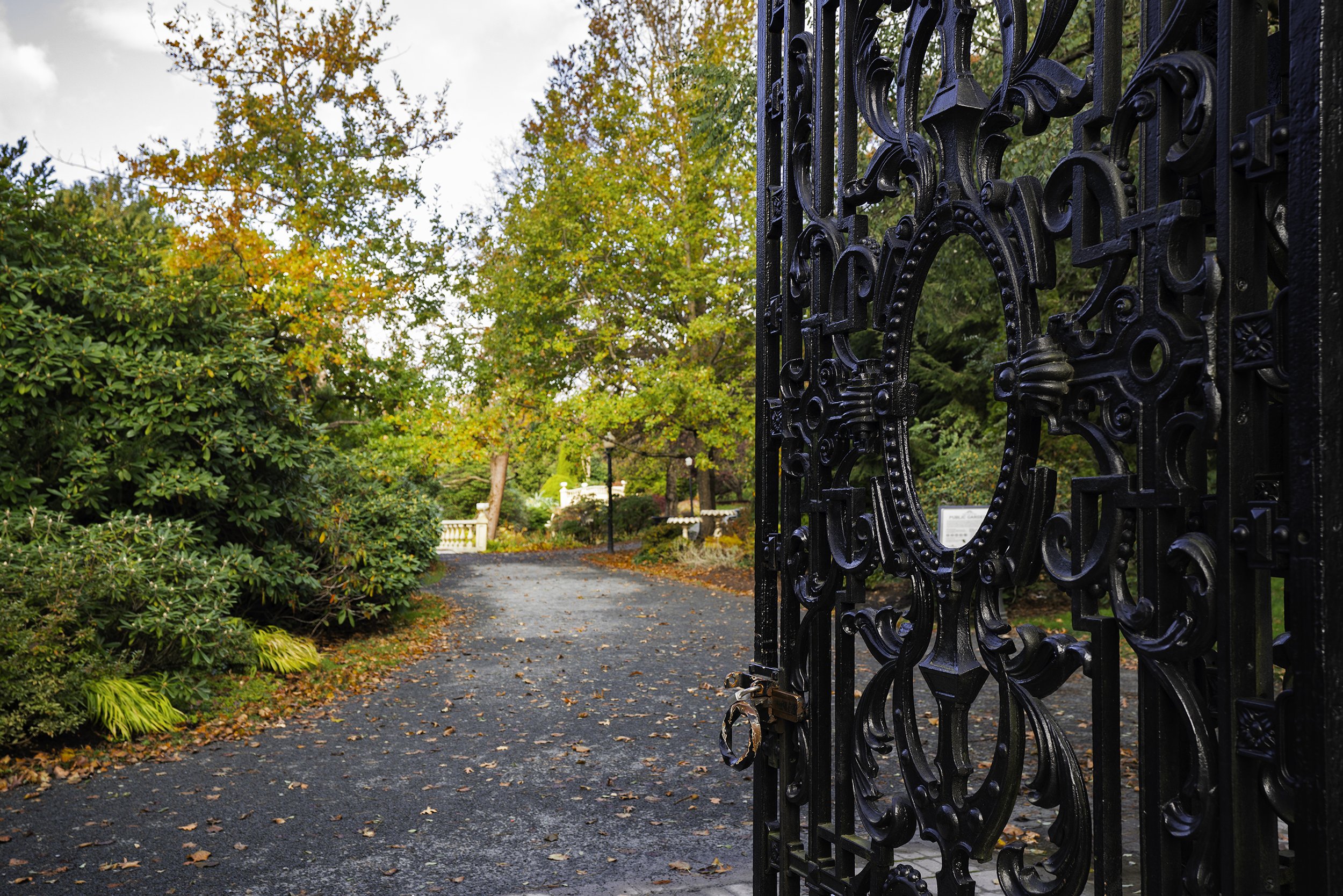 DSC08133-Edit copy.jpg