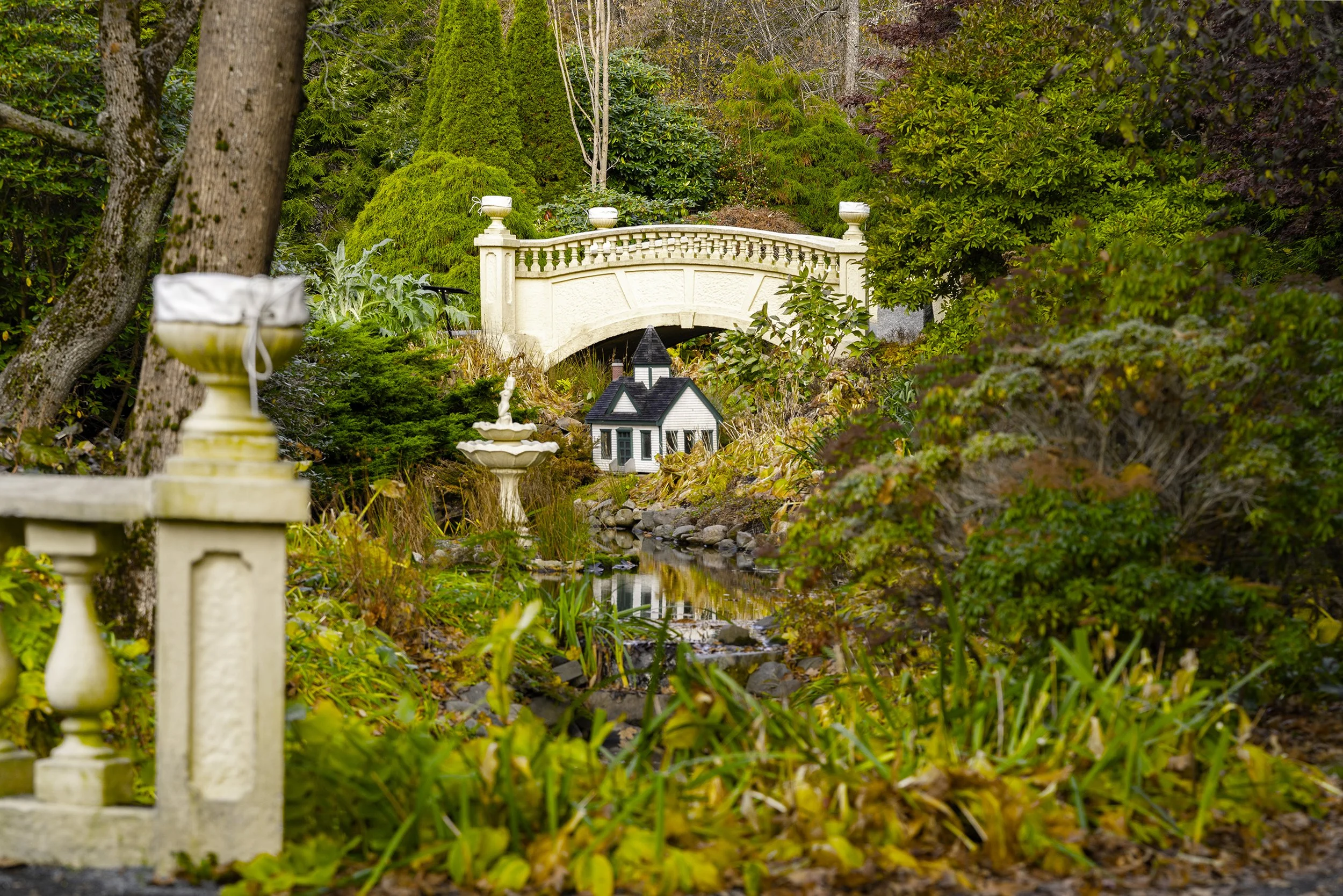 DSC08143-Edit copy.jpg