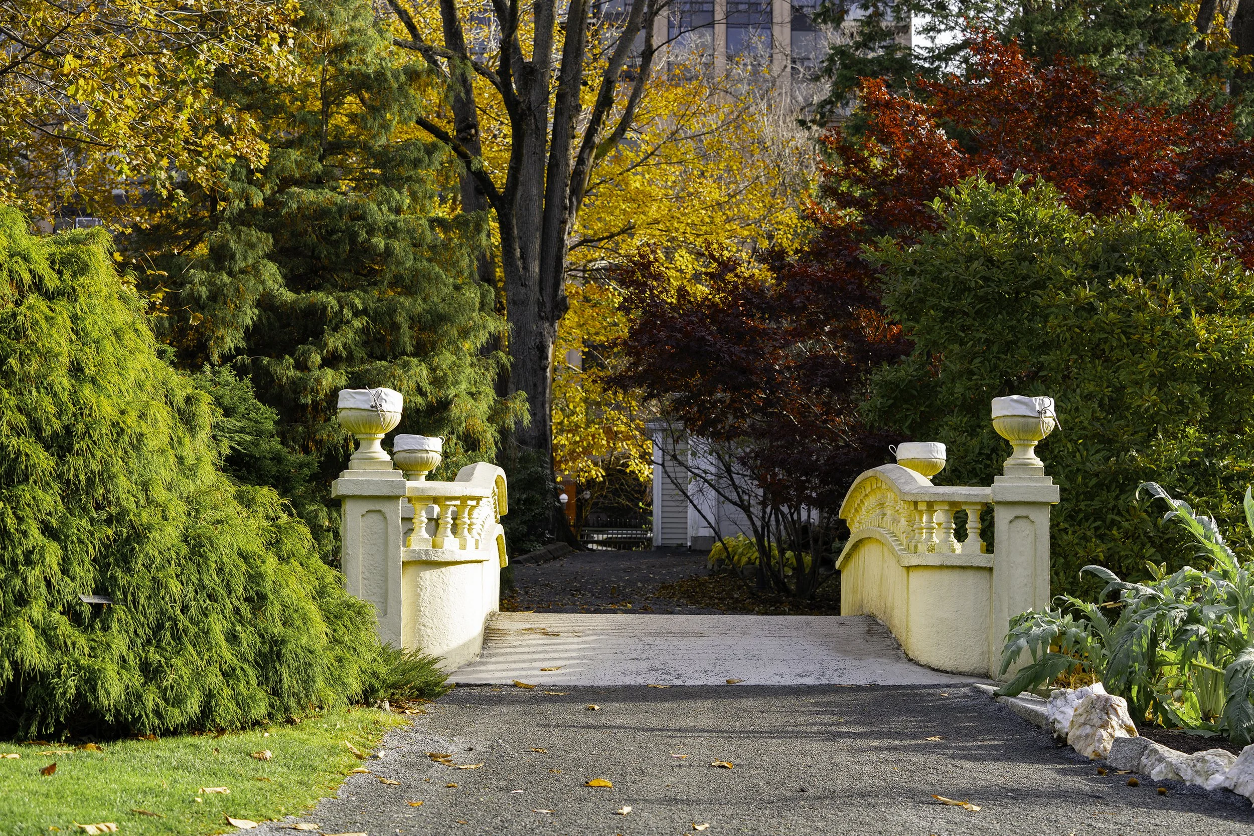 DSC08171-Edit copy.jpg