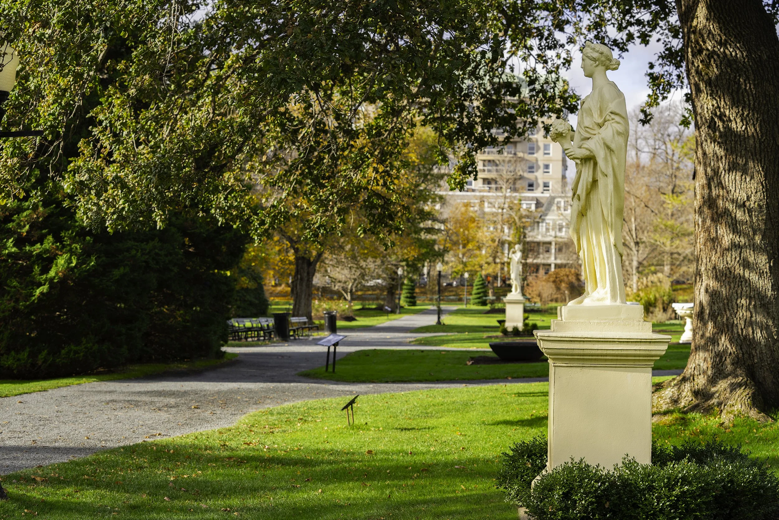 DSC08185-Edit copy.jpg