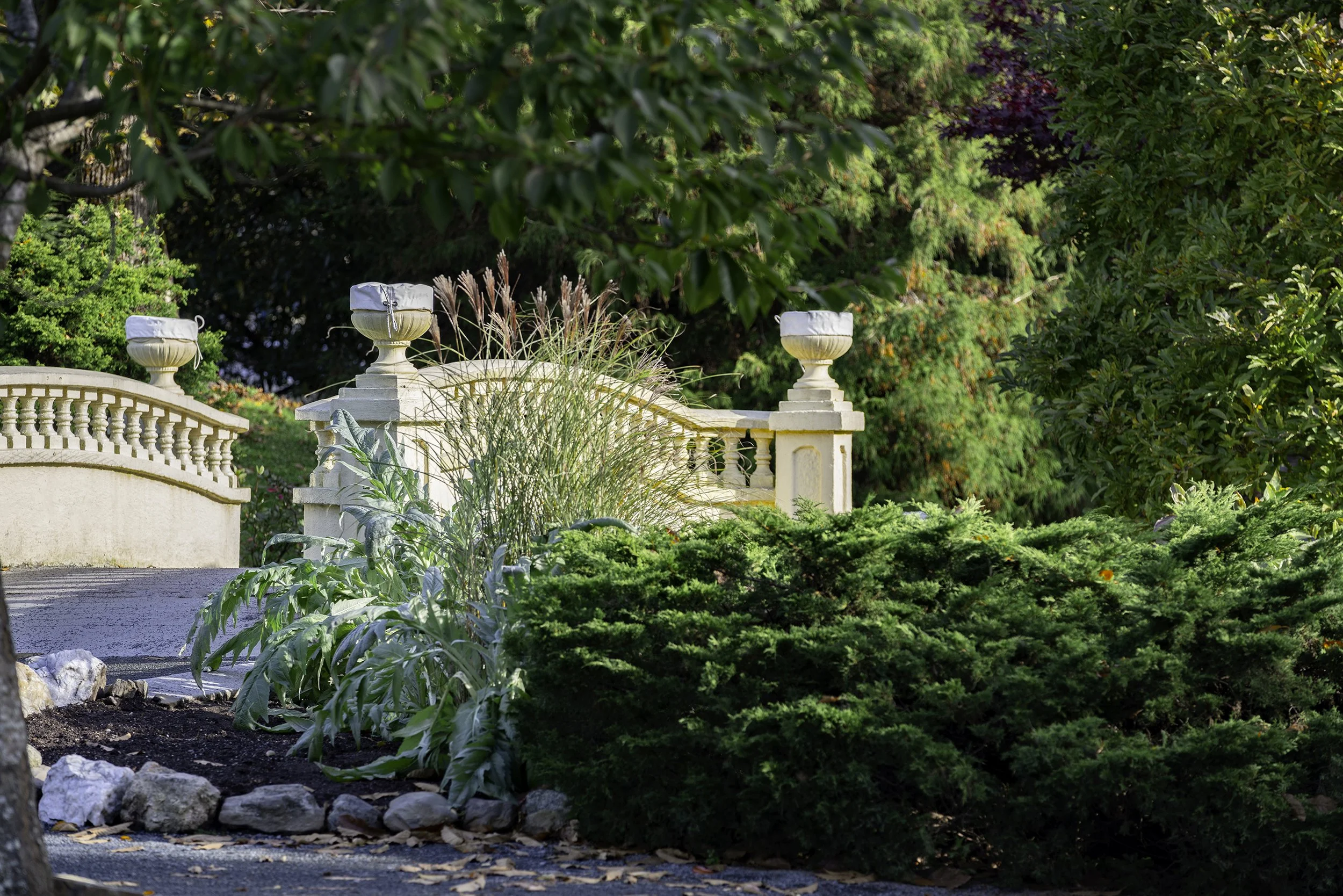 DSC08273-Edit copy.jpg