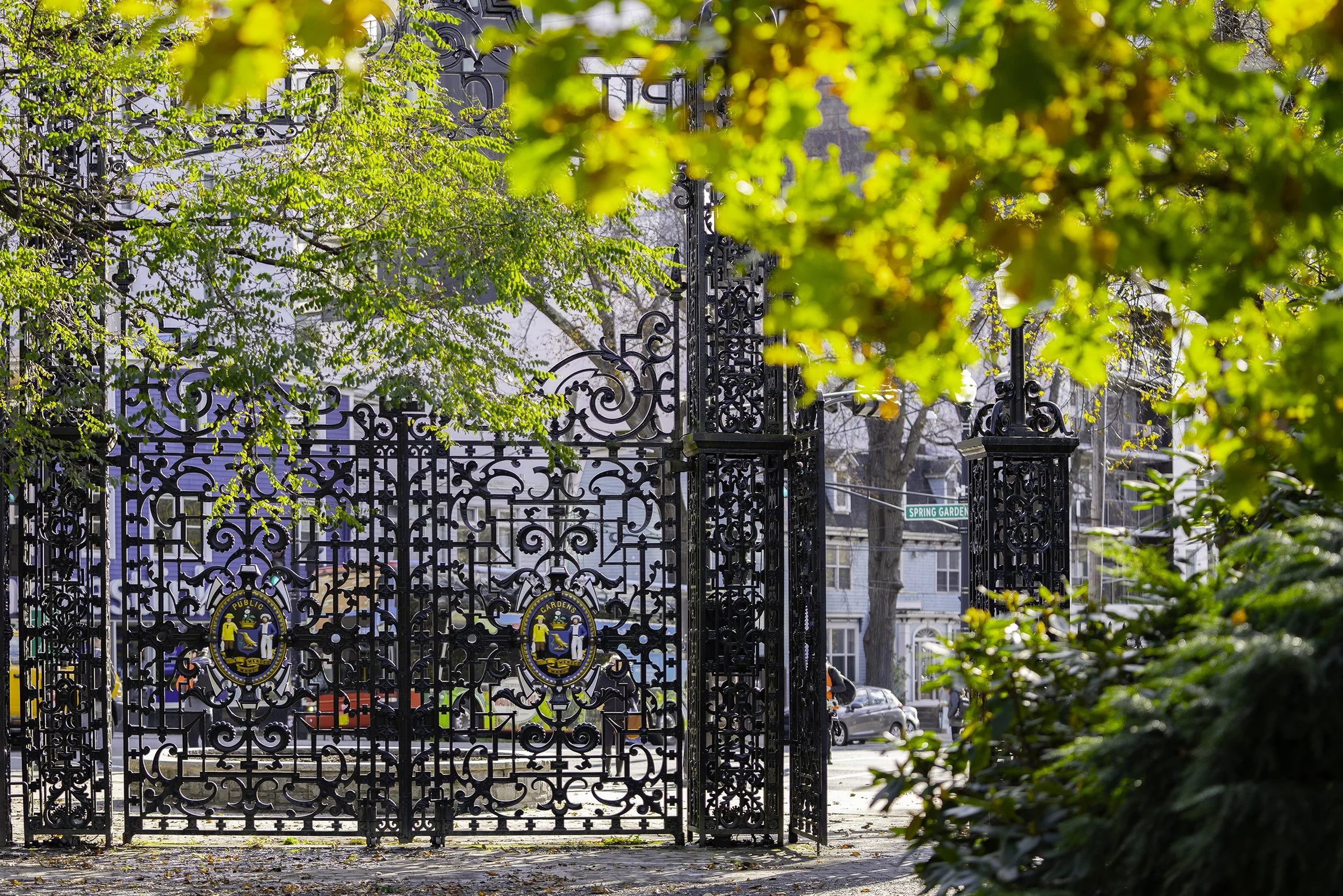 DSC08289-Edit copy.jpg