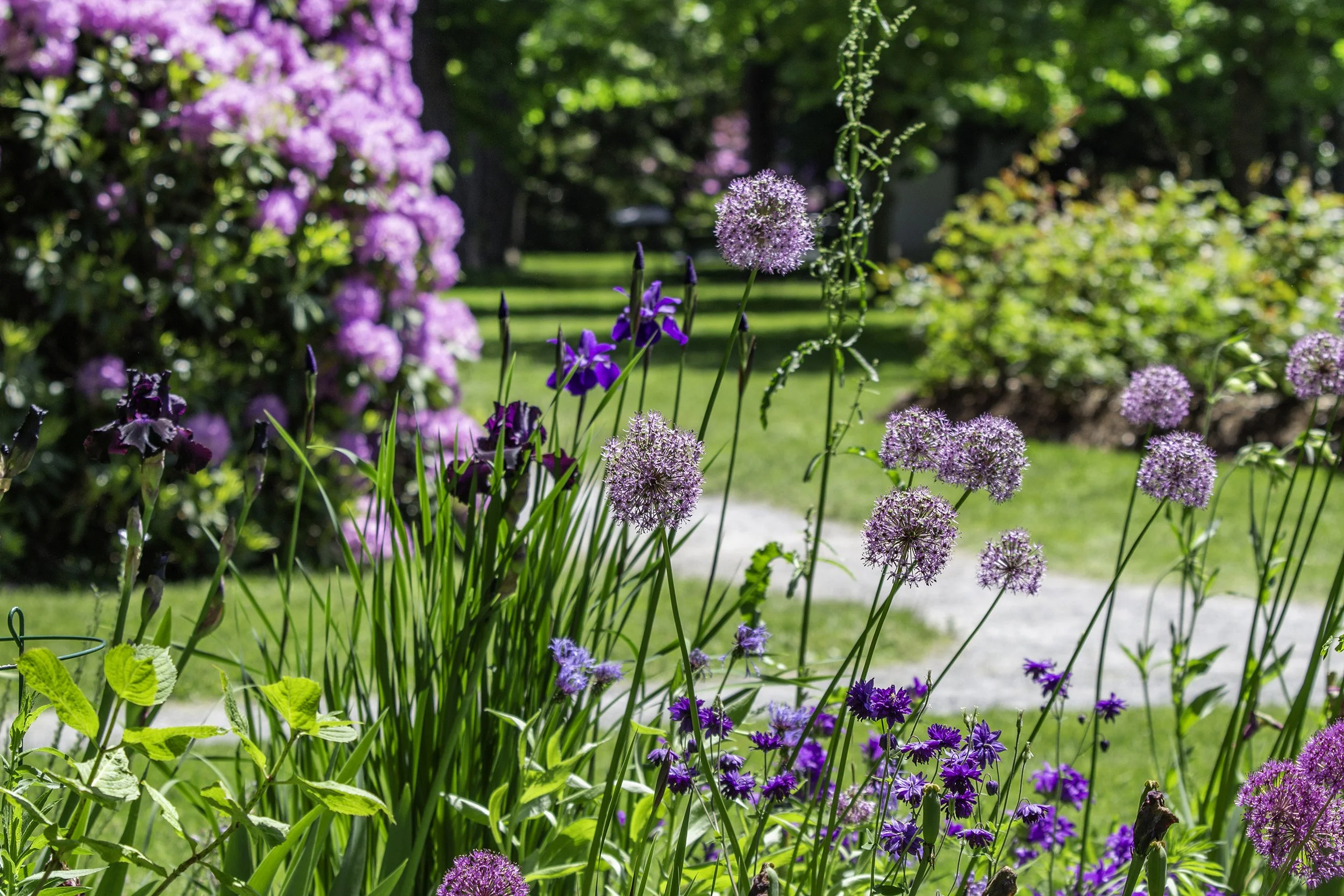 RY NEIGHBOURHOOD 091.jpg