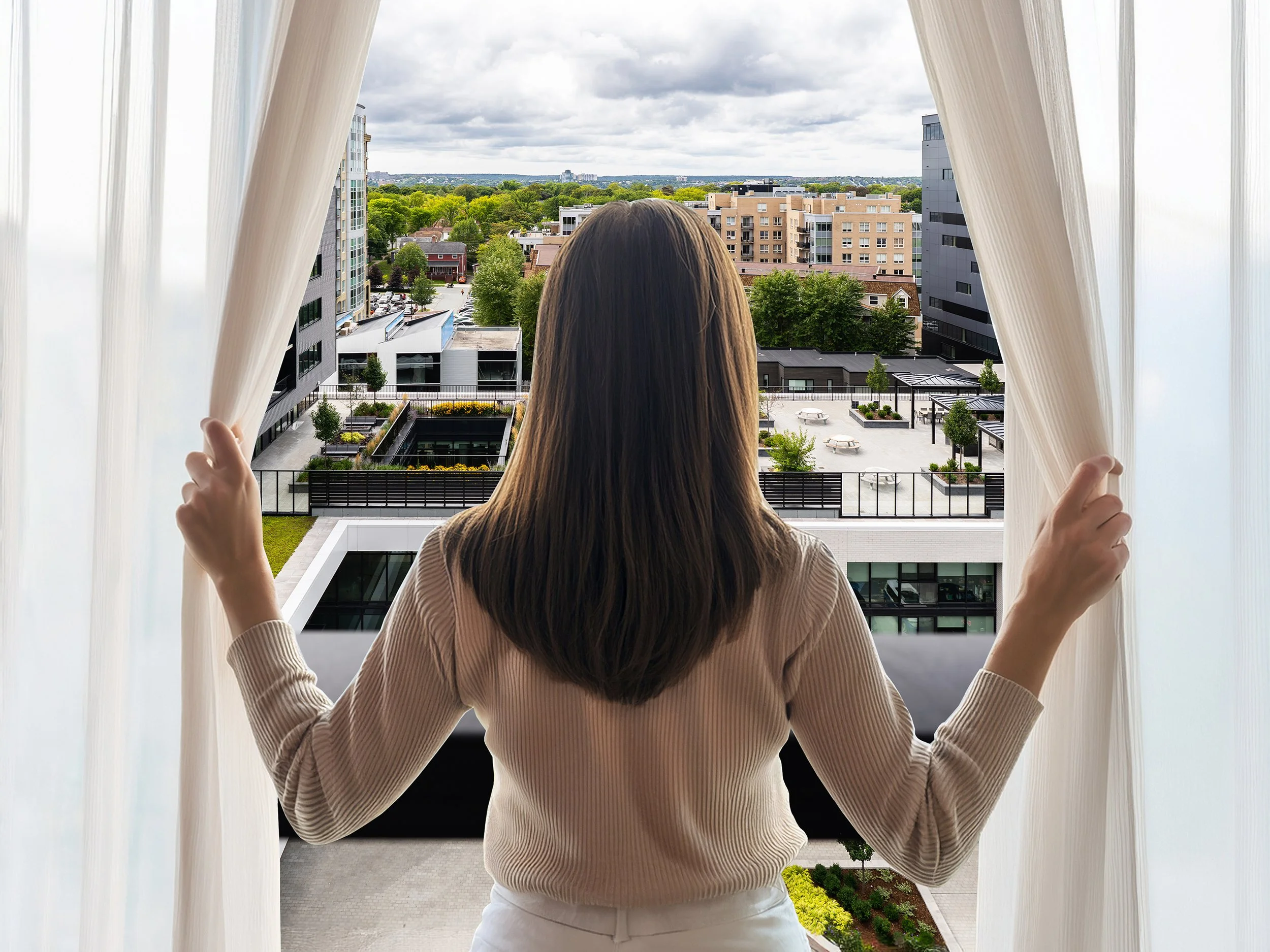 The window  copy.jpg