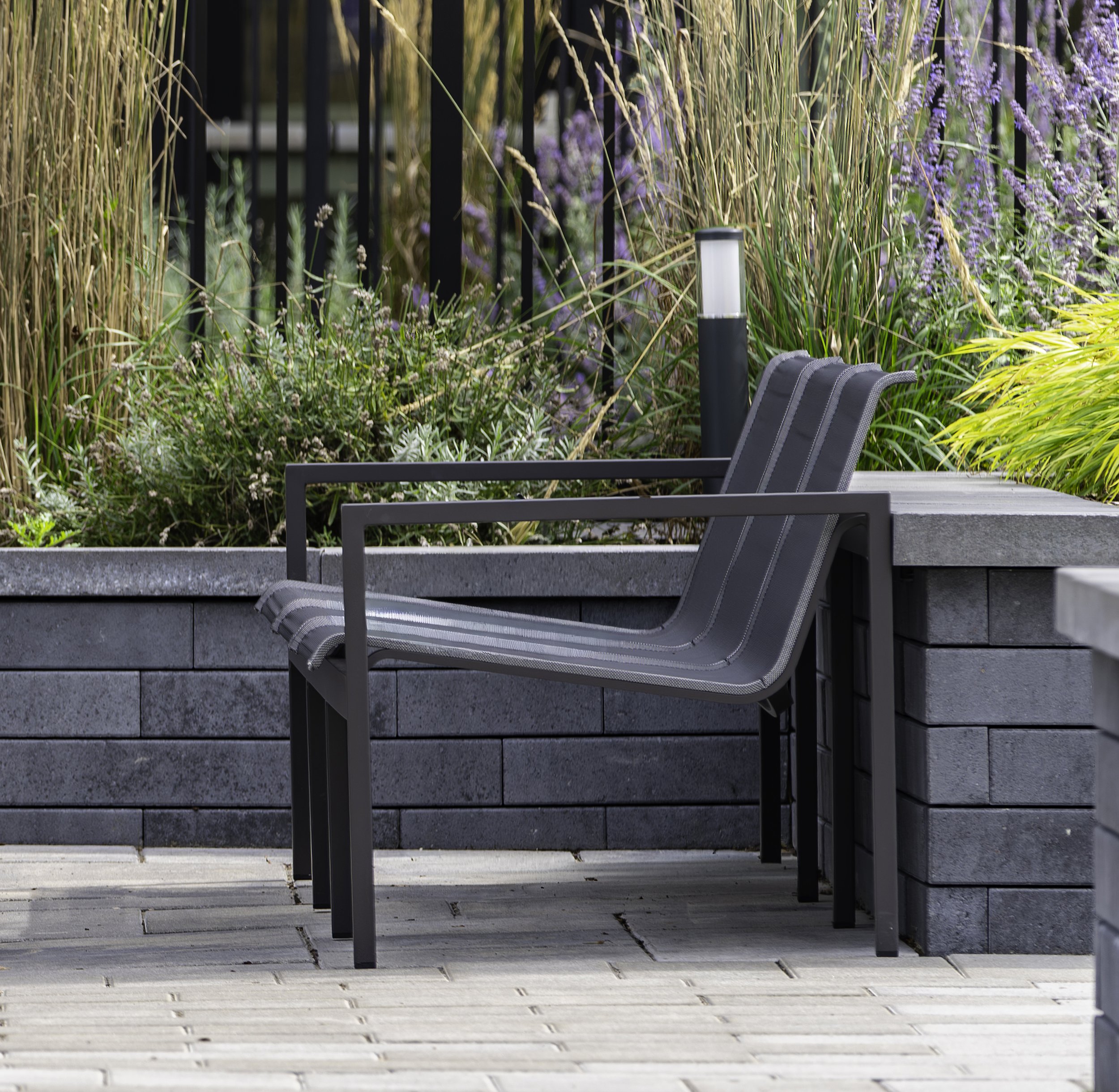 Back Yard 002 copy.jpg