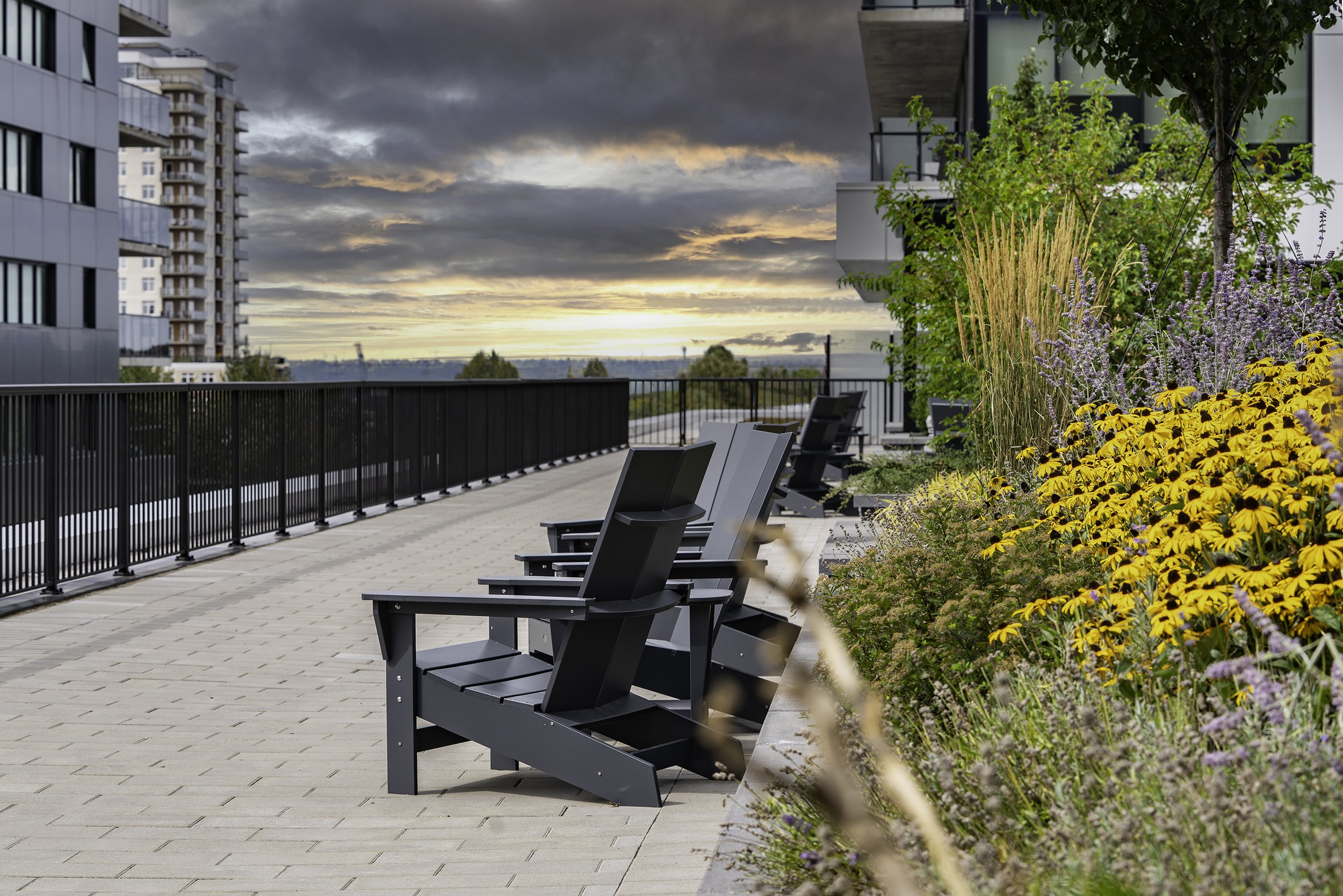 Back Yard 003 copy.jpg