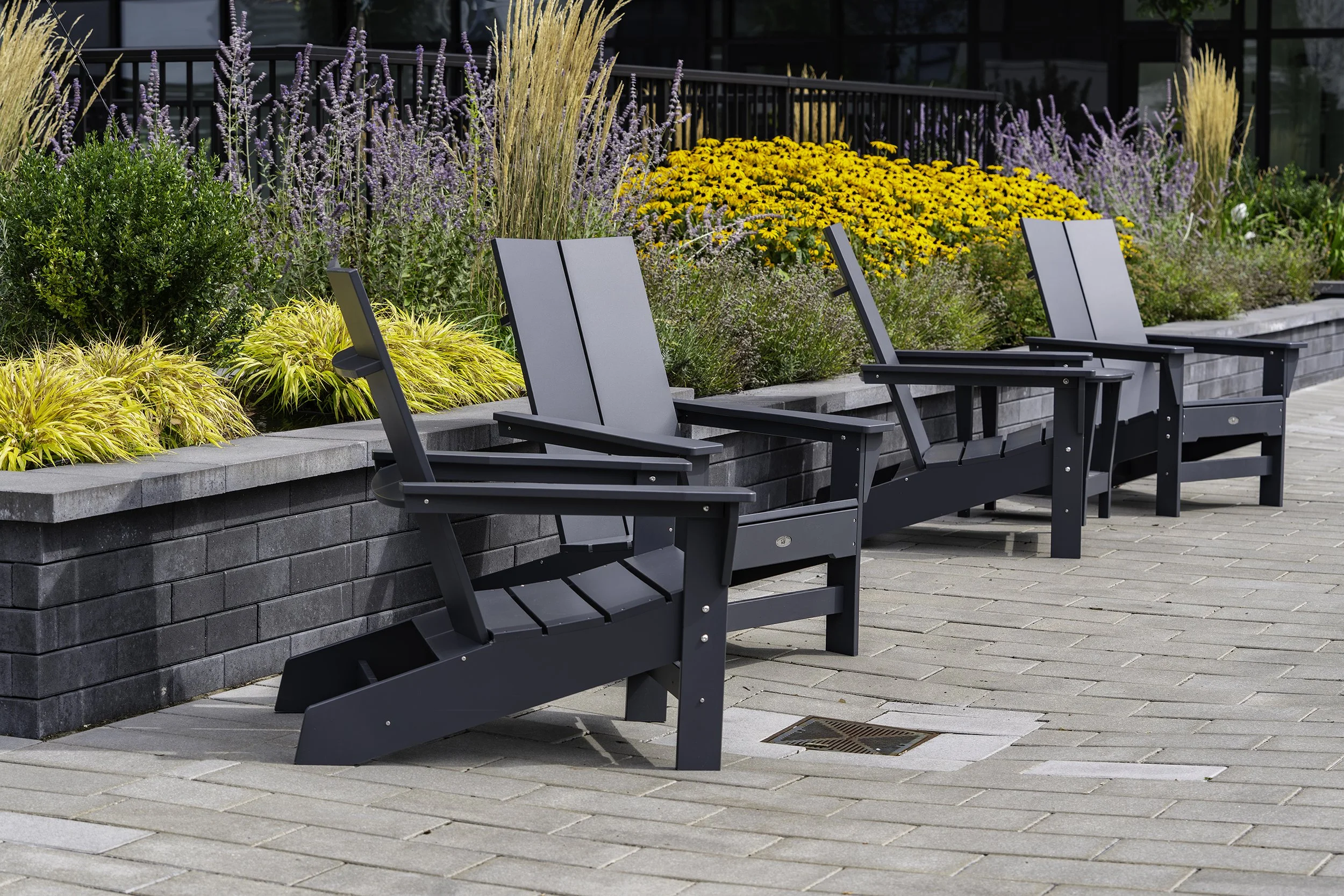 Back Yard 004 copy.jpg