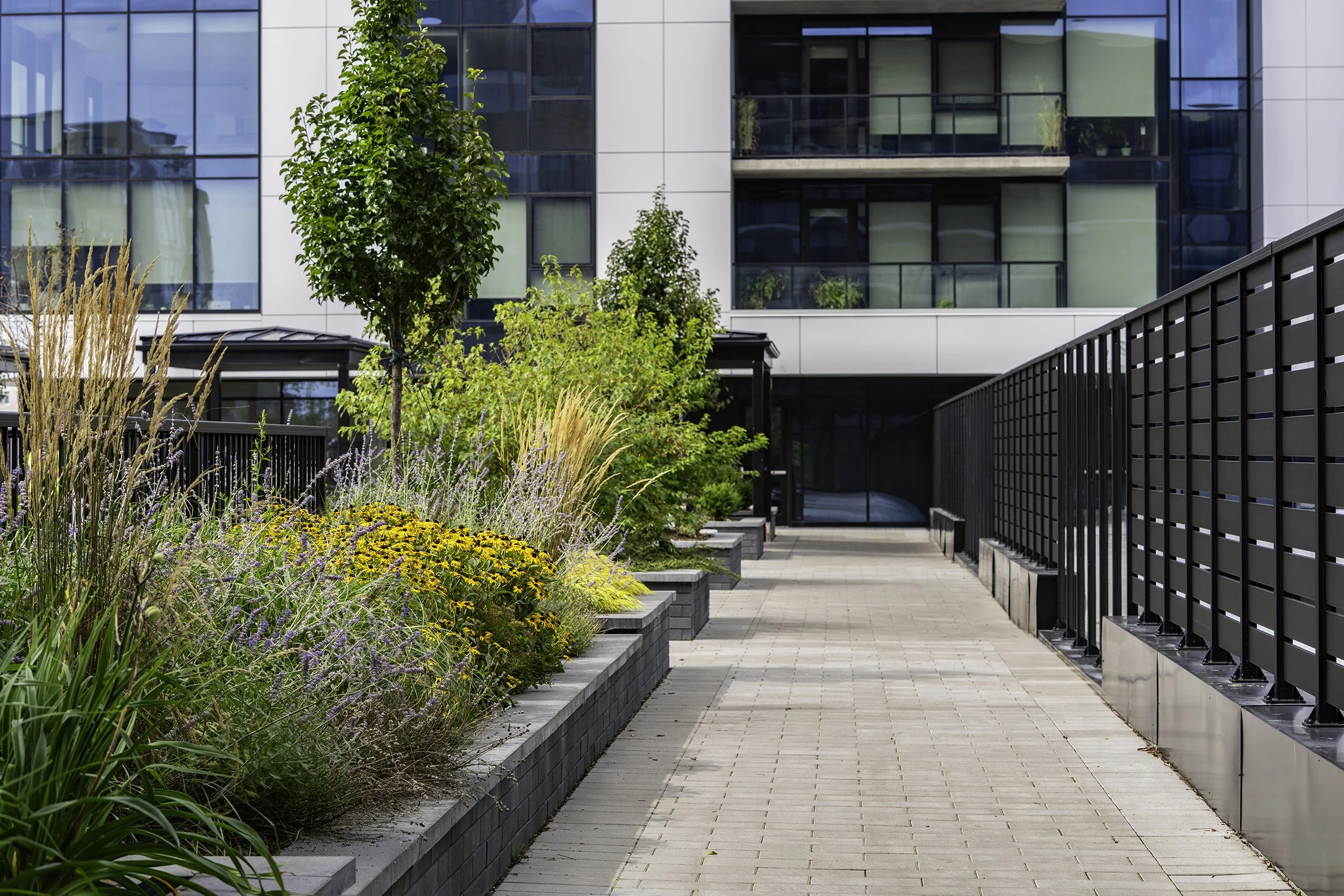 Back Yard 005 copy.jpg