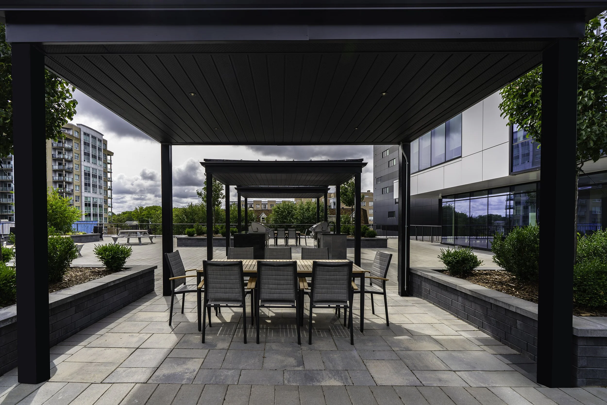 Back Yard 006 copy.jpg