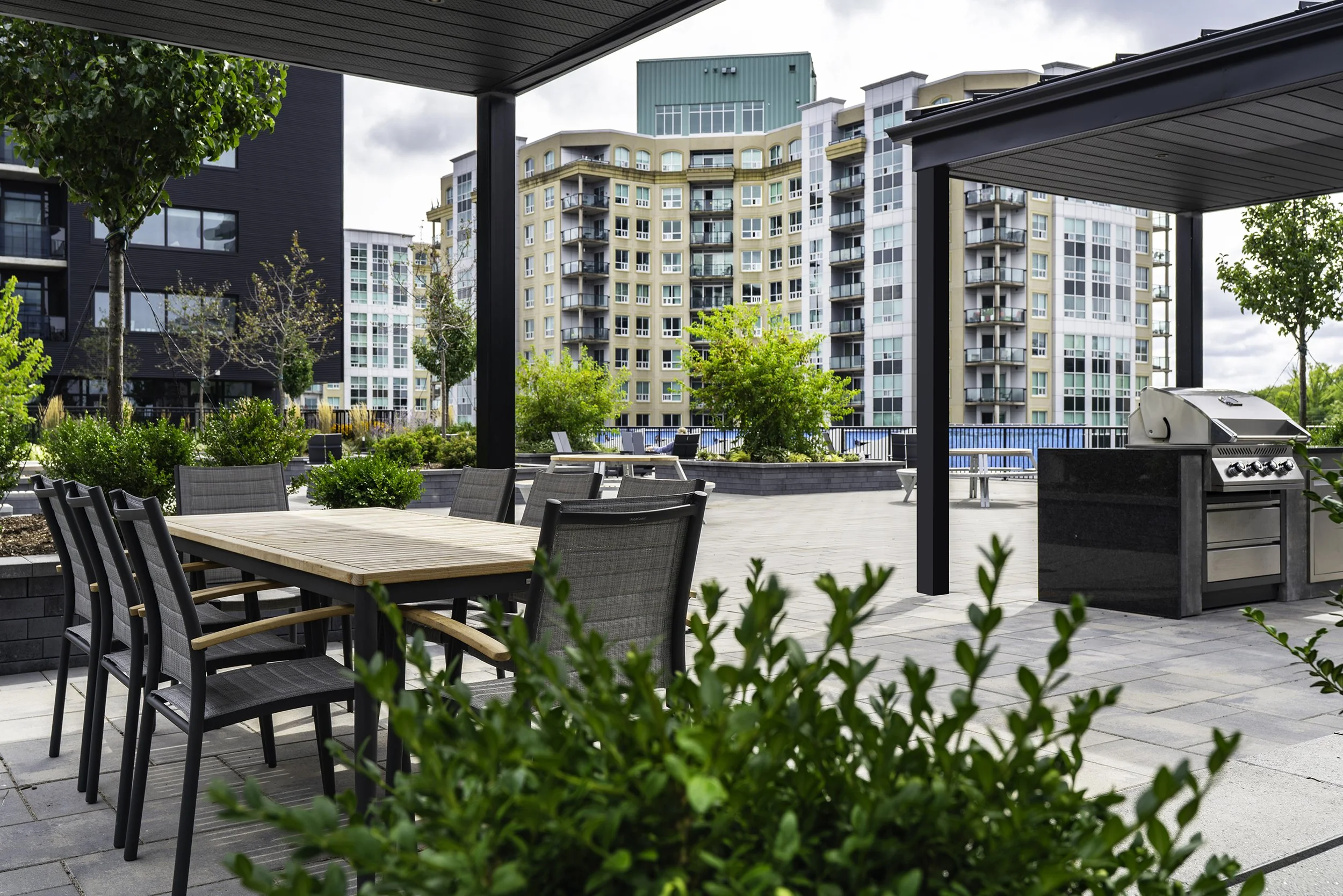 Back Yard 007 copy.jpg