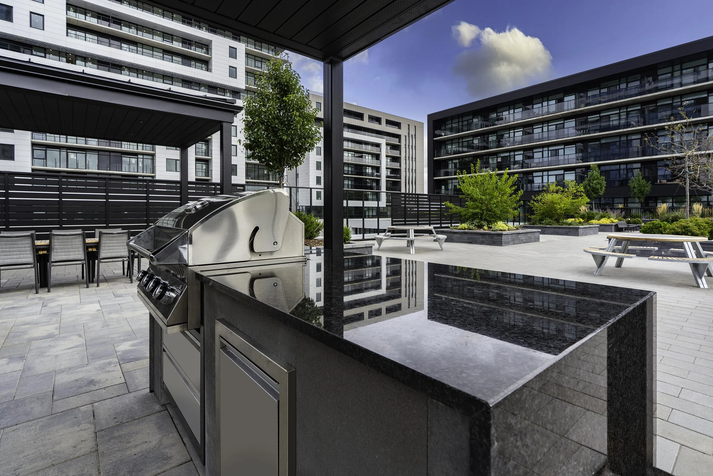 Back Yard 008 copy.jpg