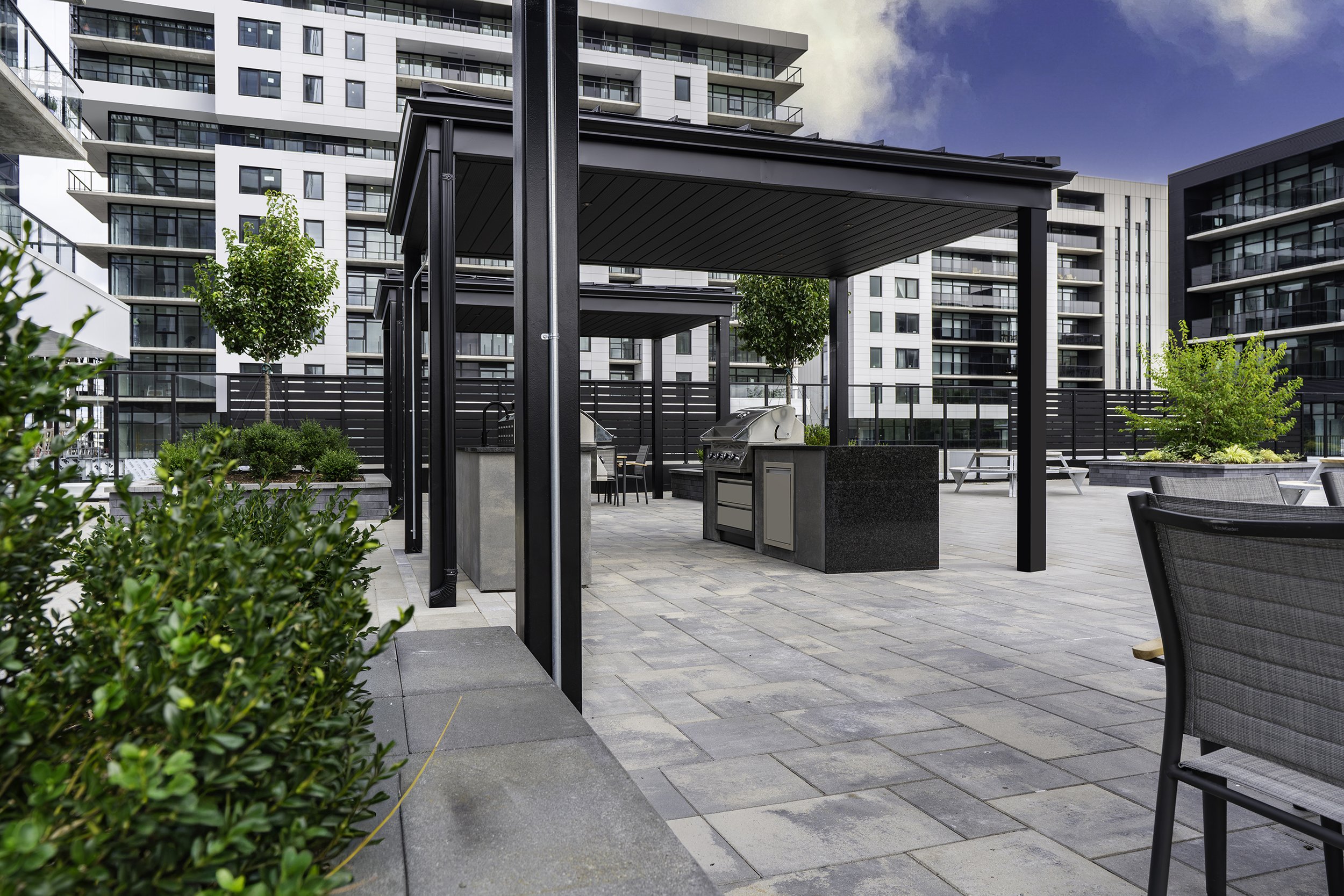 Back Yard 009 copy.jpg