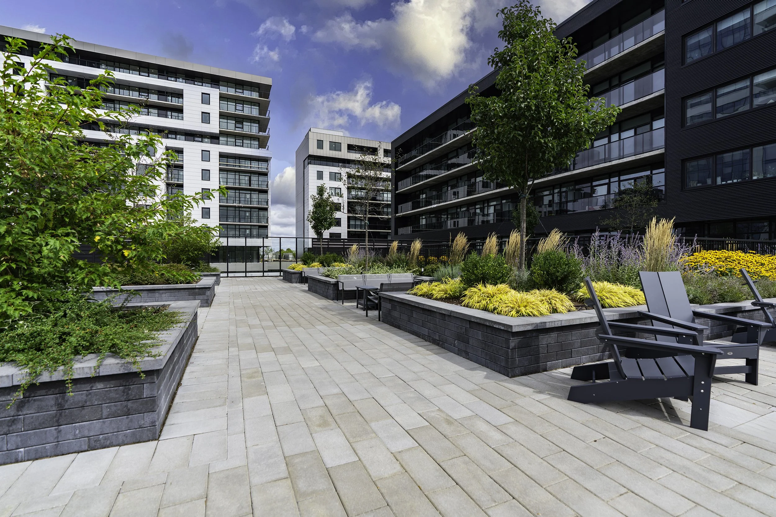 Back Yard 010 copy.jpg