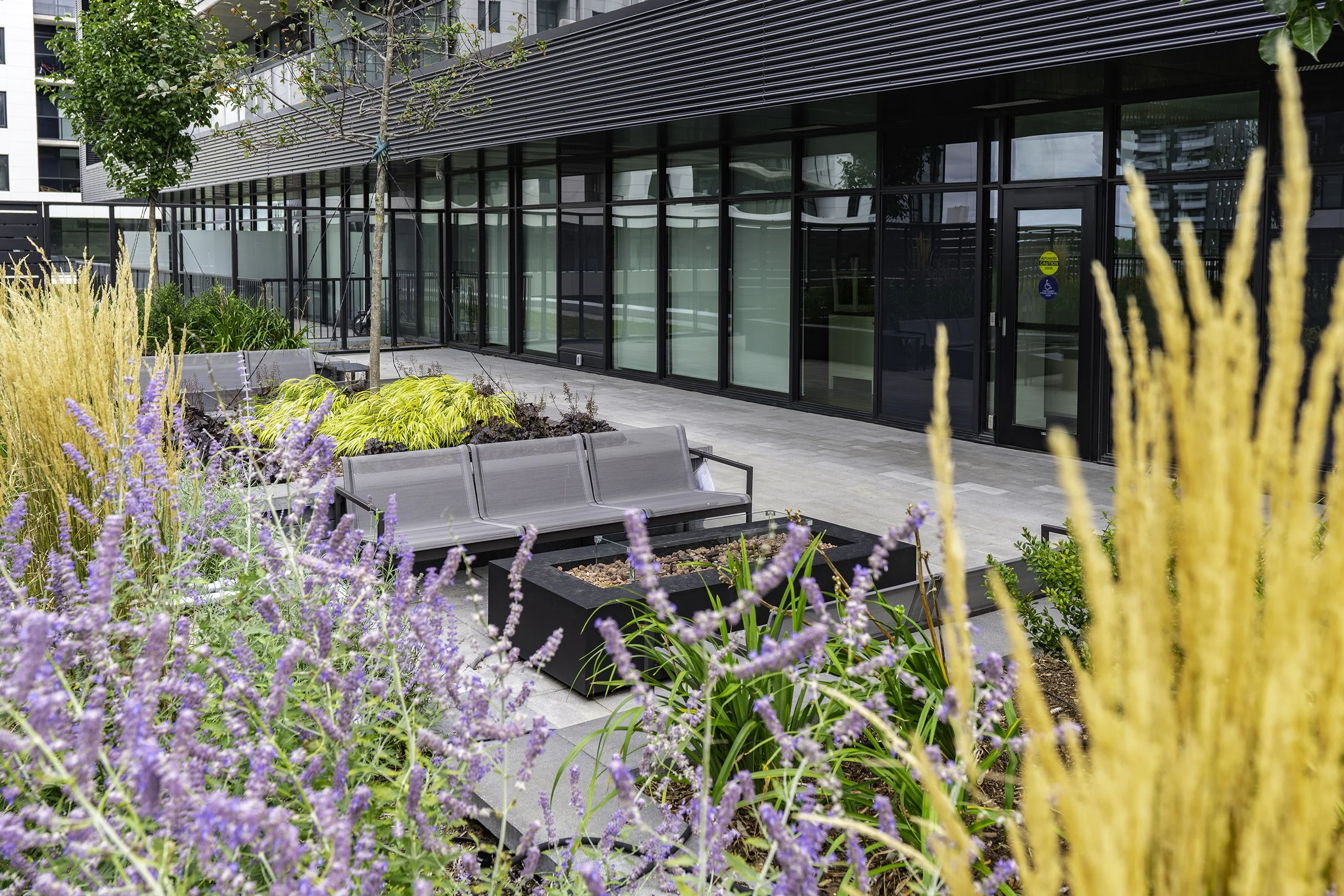 Back Yard 011 copy.jpg