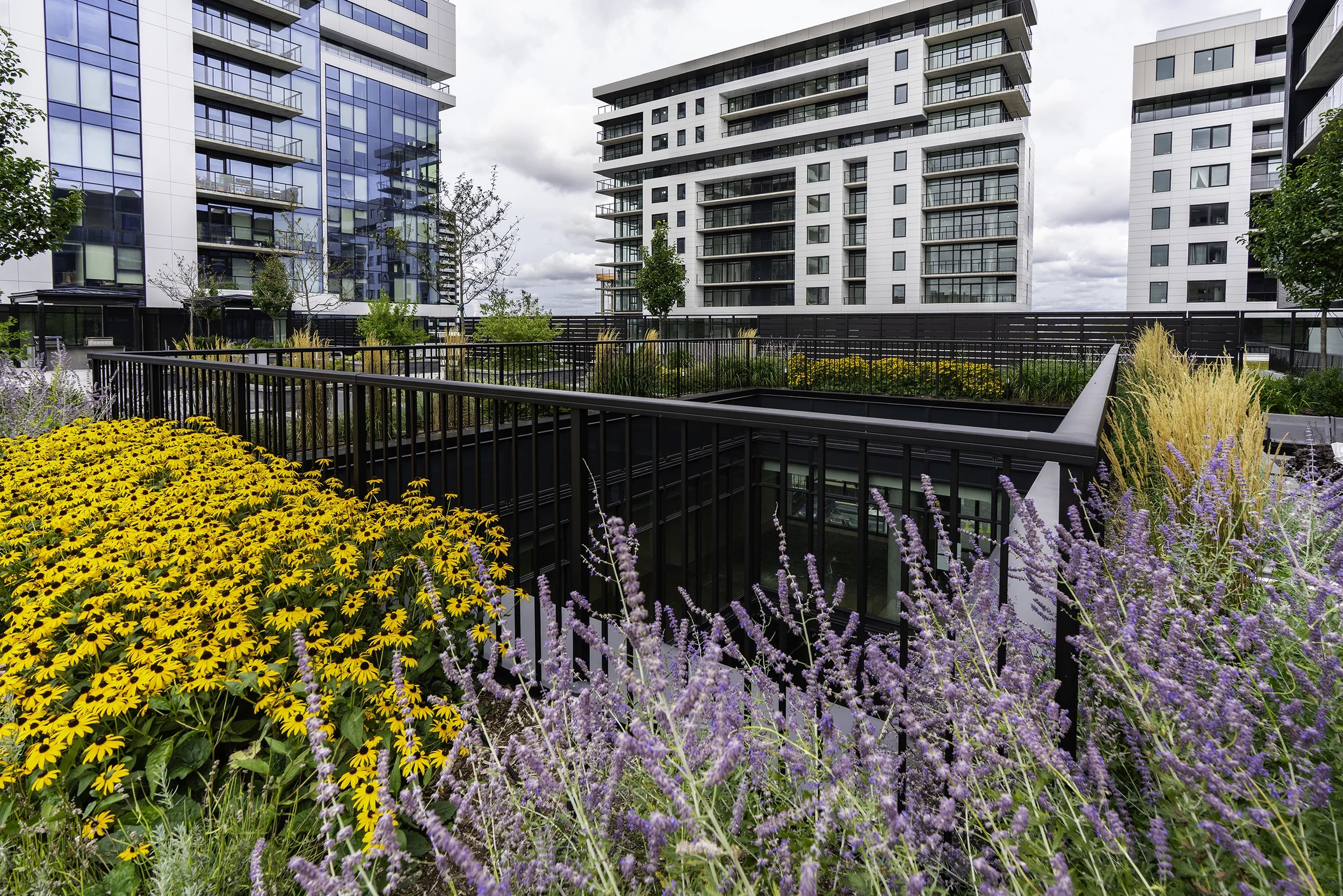 Back Yard 012 copy.jpg