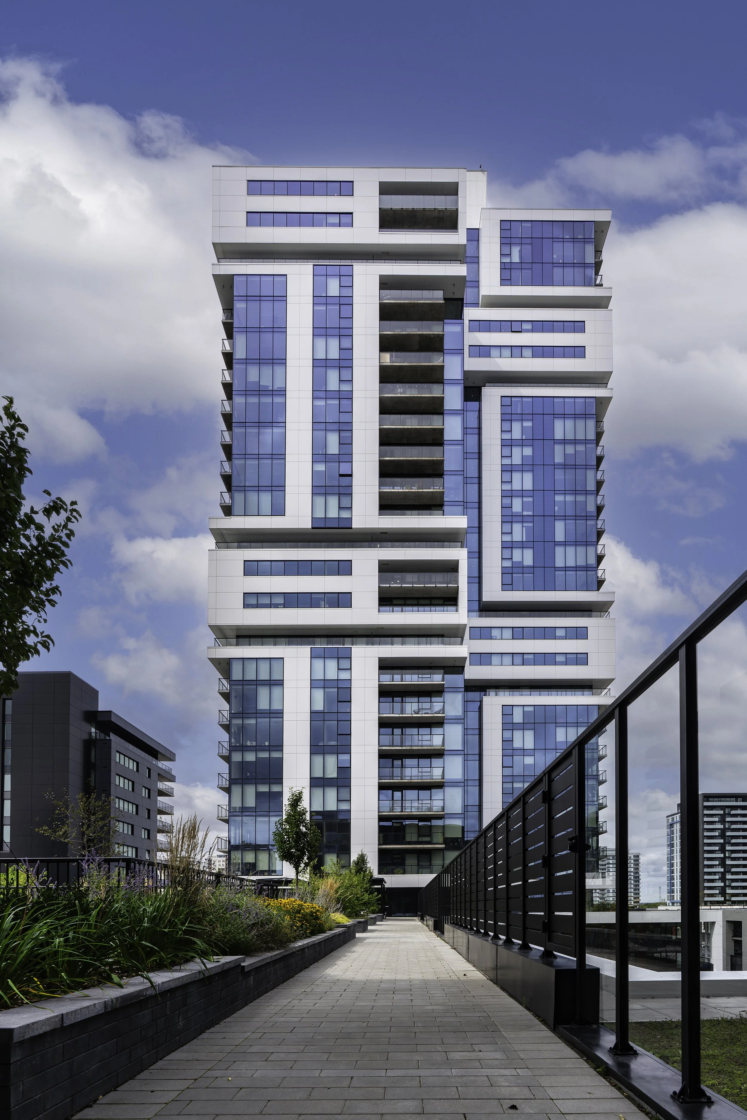 Back Yard 014 copy.jpg