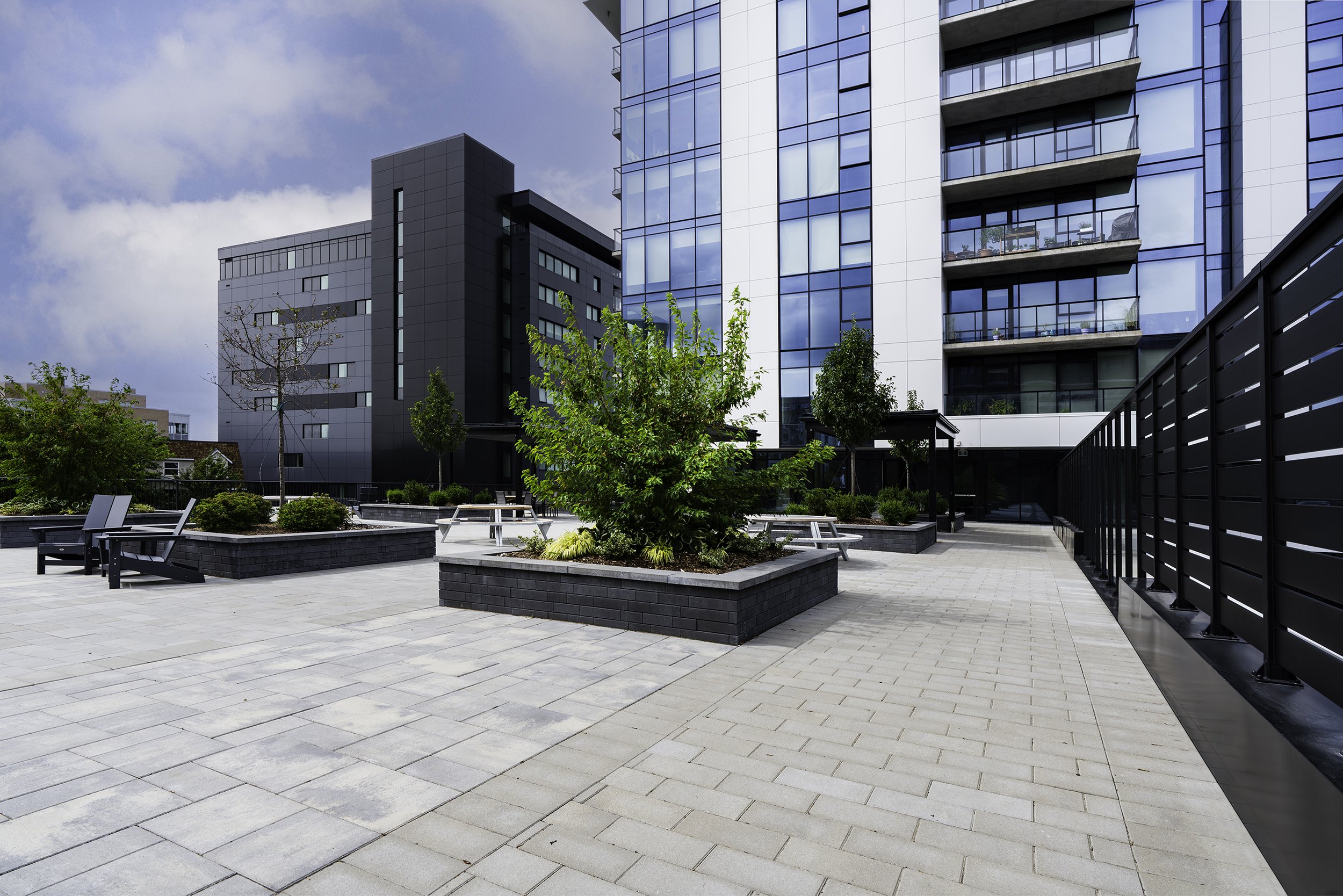 Back Yard 016 copy.jpg