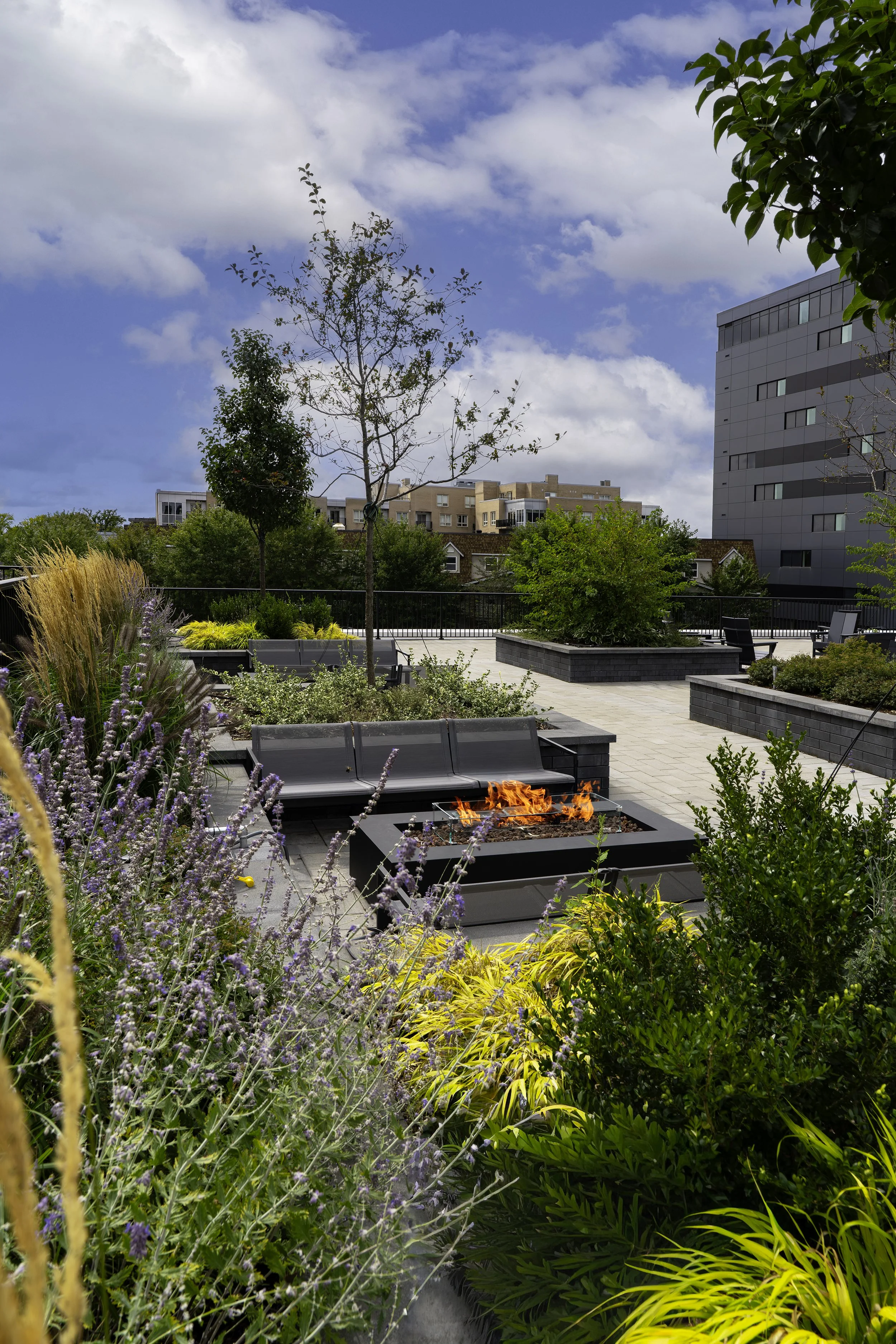 Back Yard 015 copy.jpg