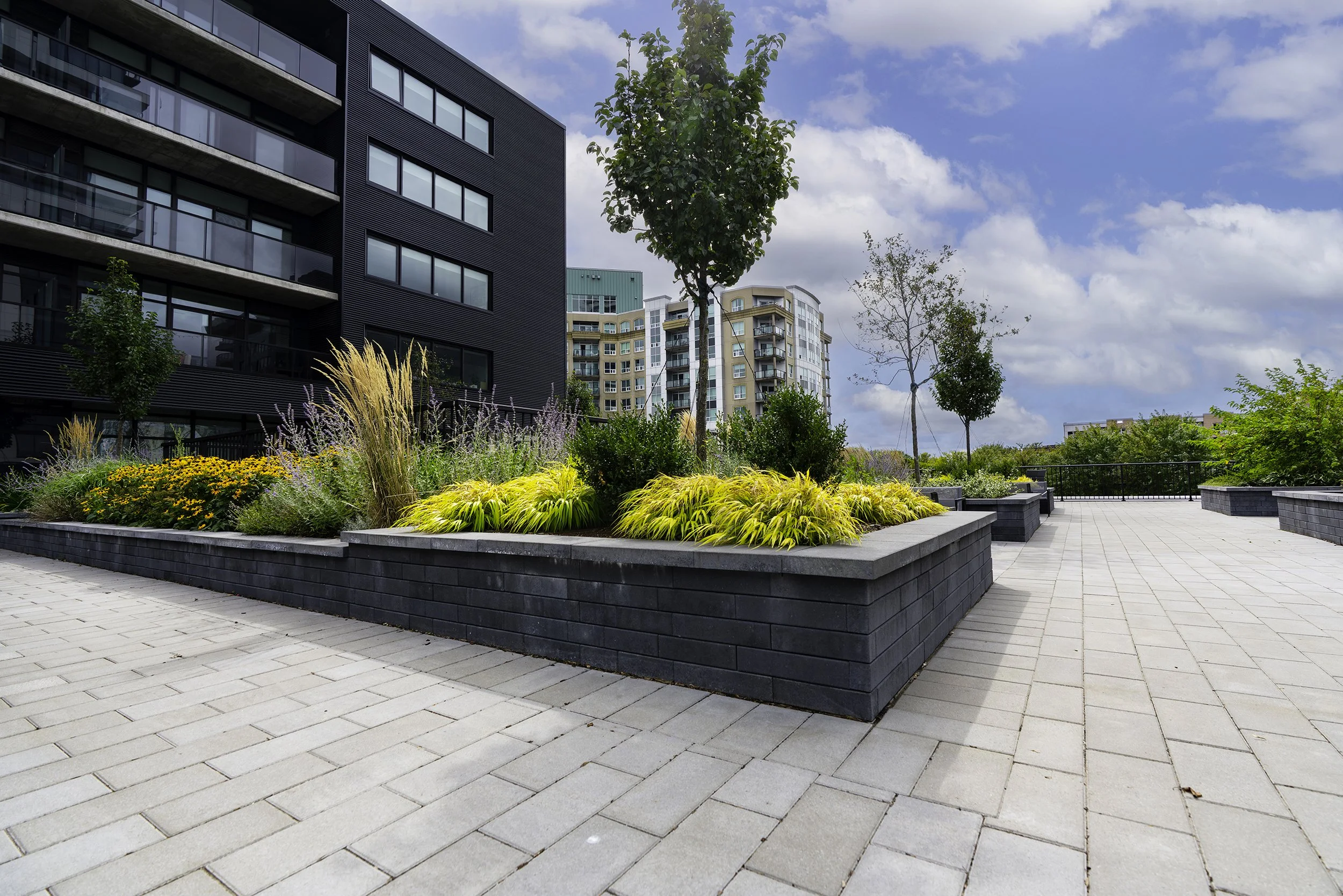 Back Yard 018 copy.jpg