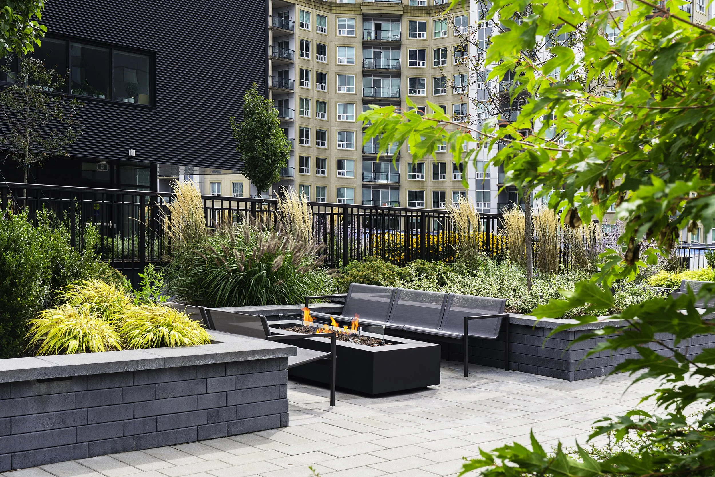 Back Yard 017 copy.jpg