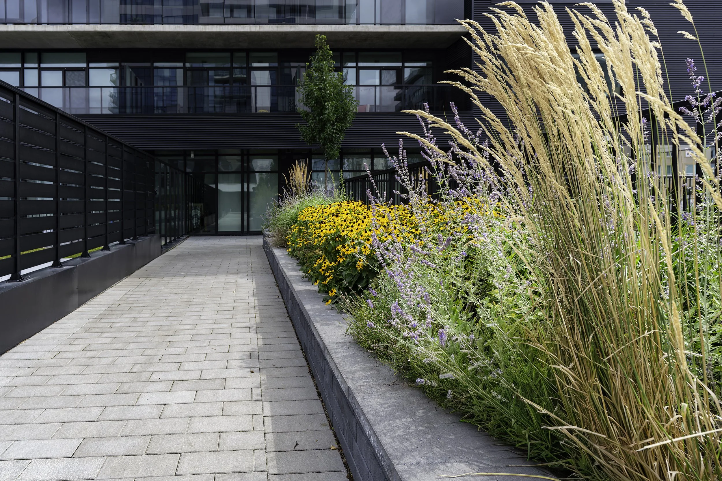 Back Yard 019 copy.jpg