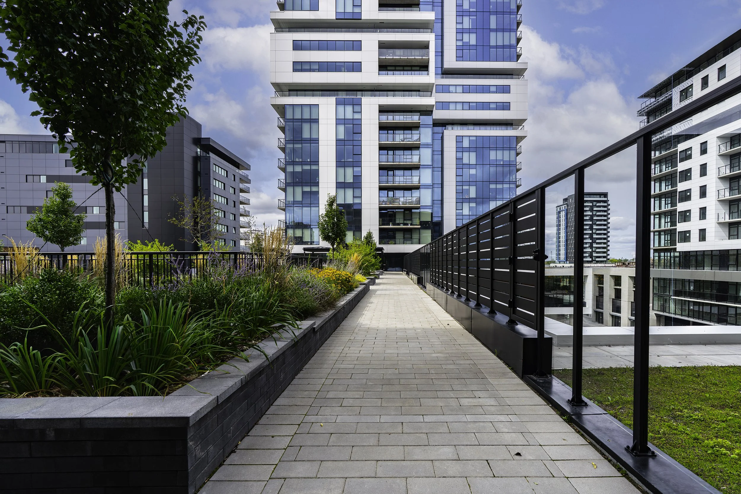 Back Yard 021 copy.jpg