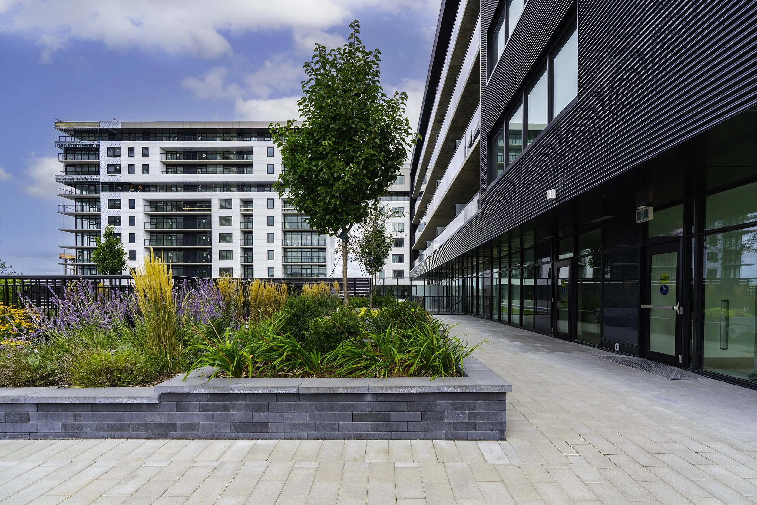 Back Yard 023 copy.jpg