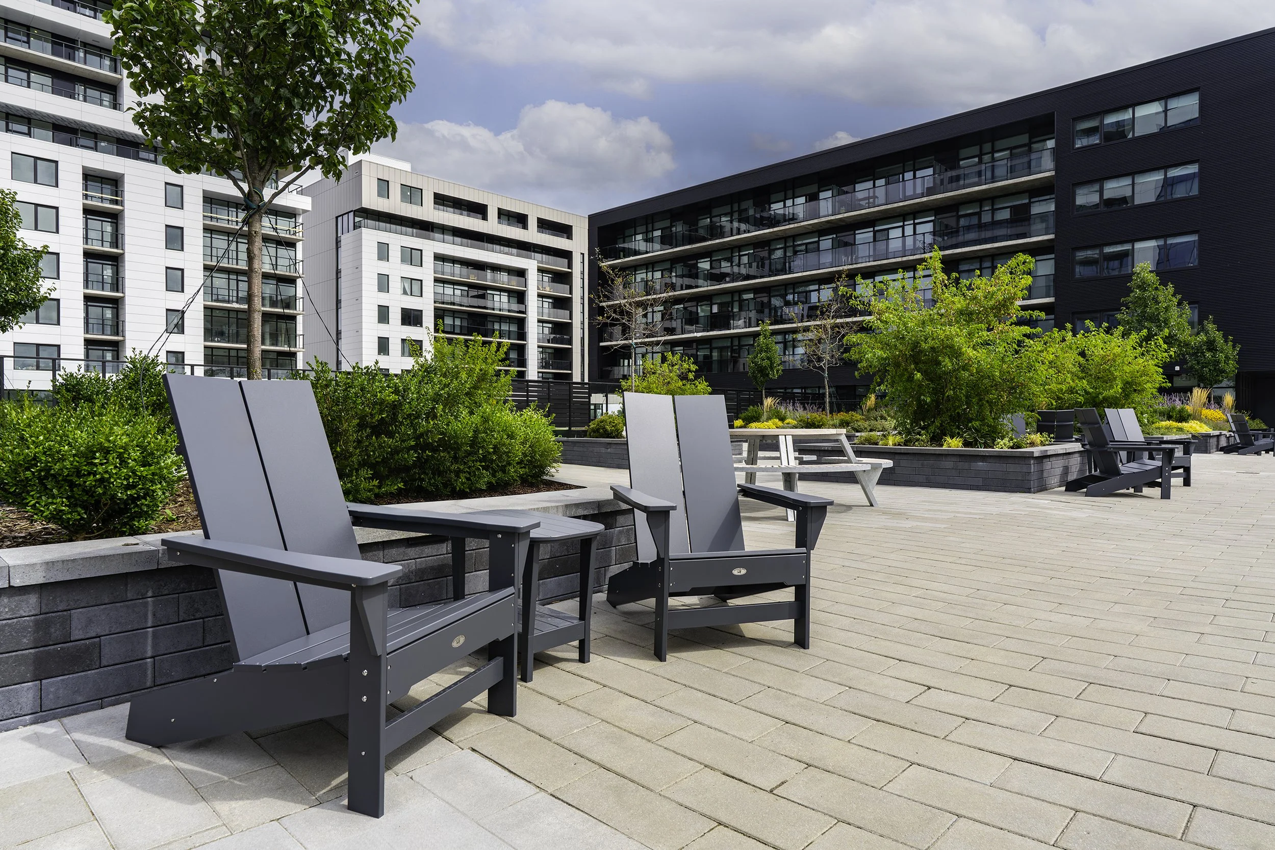 Back Yard 025 copy.jpg