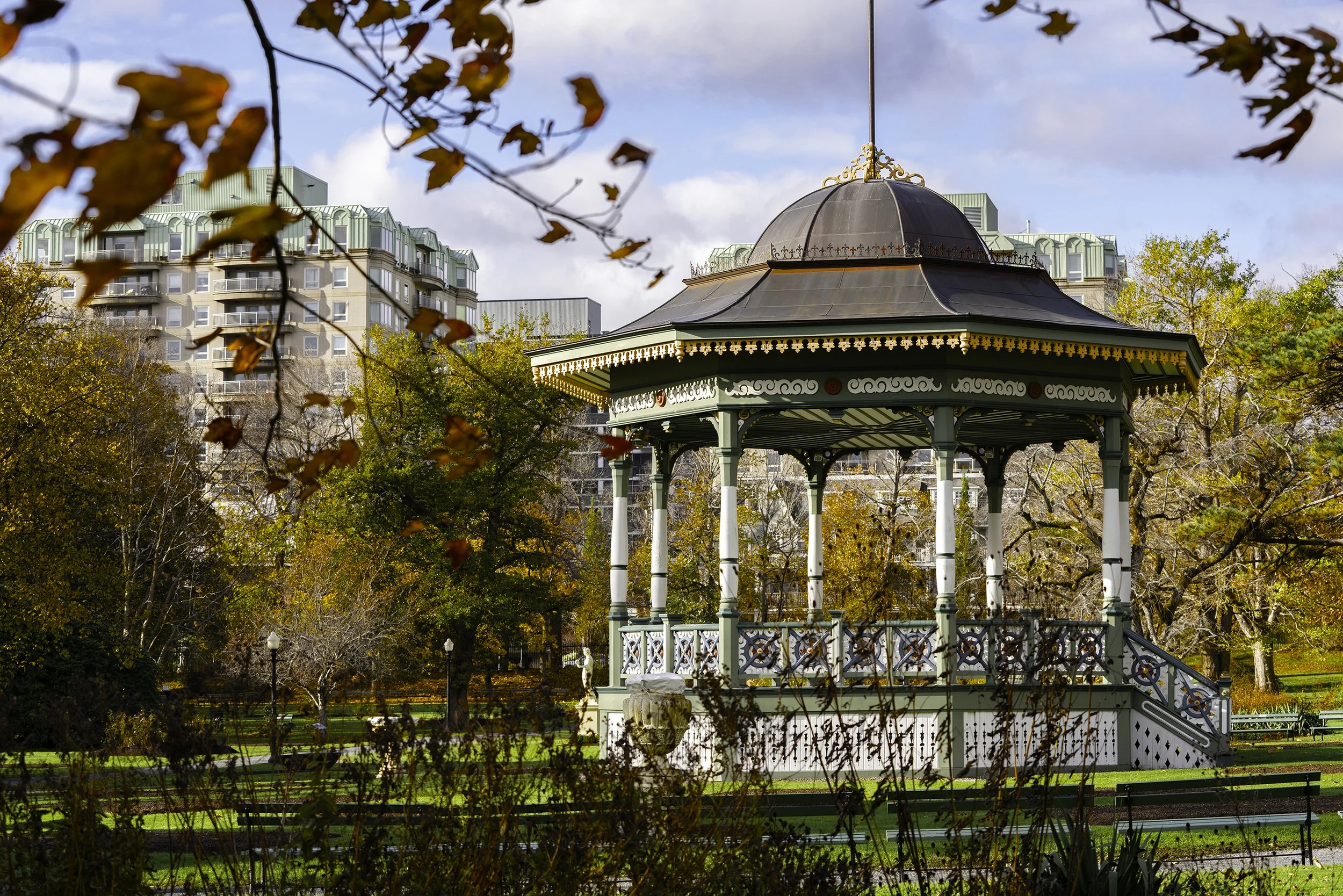 DSC08209-Edit copy.jpg