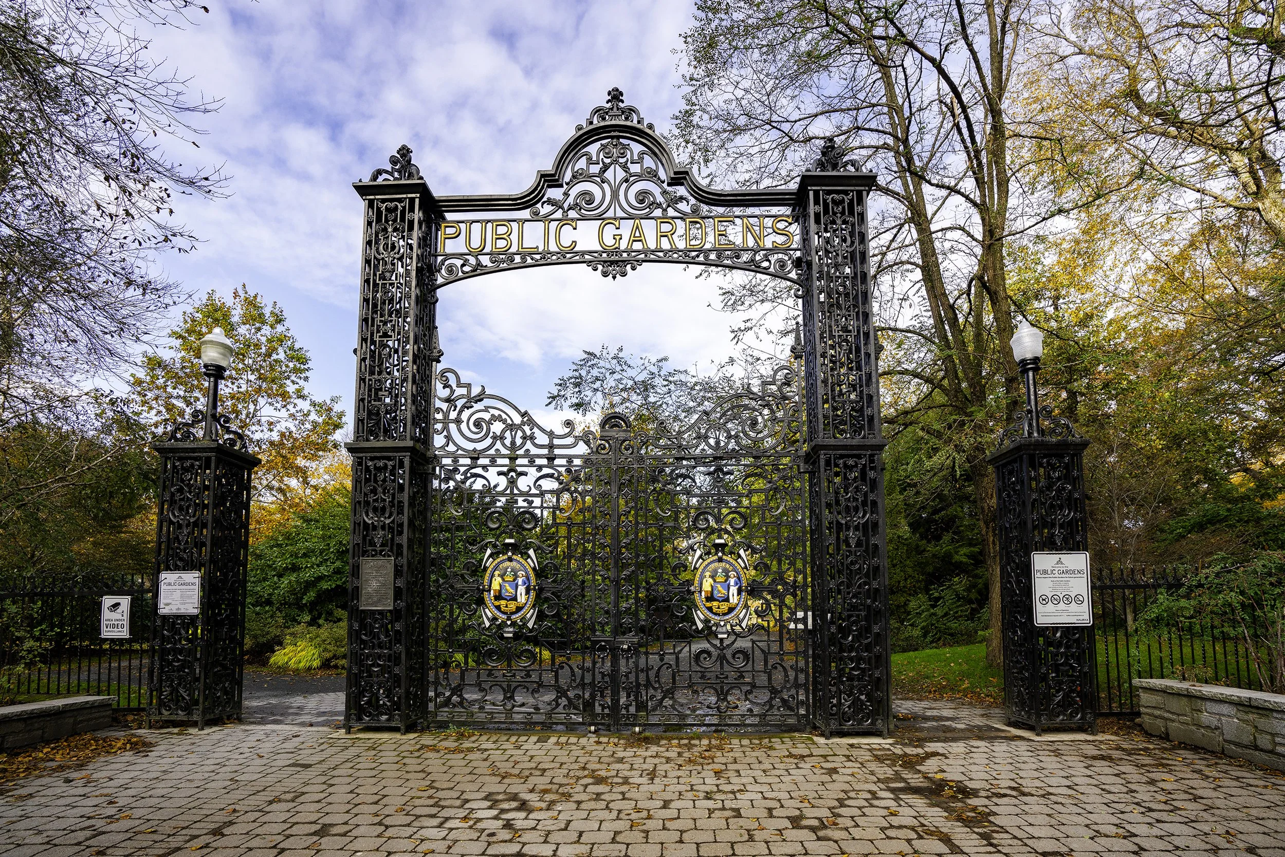 DSC08121-Edit copy.jpg