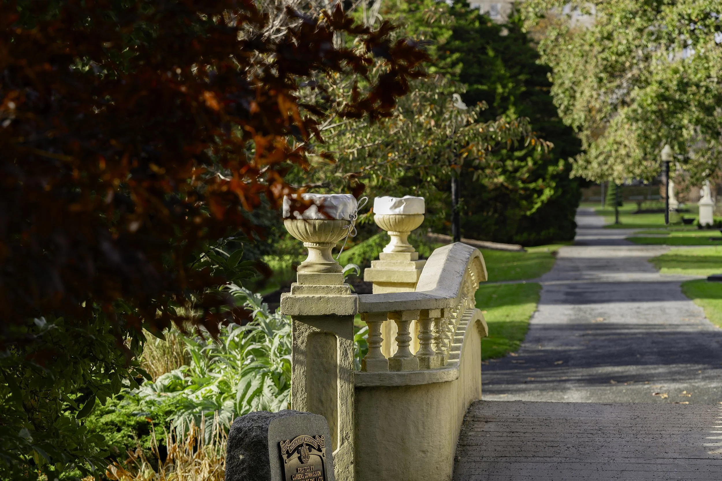 DSC08182-Edit copy.jpg