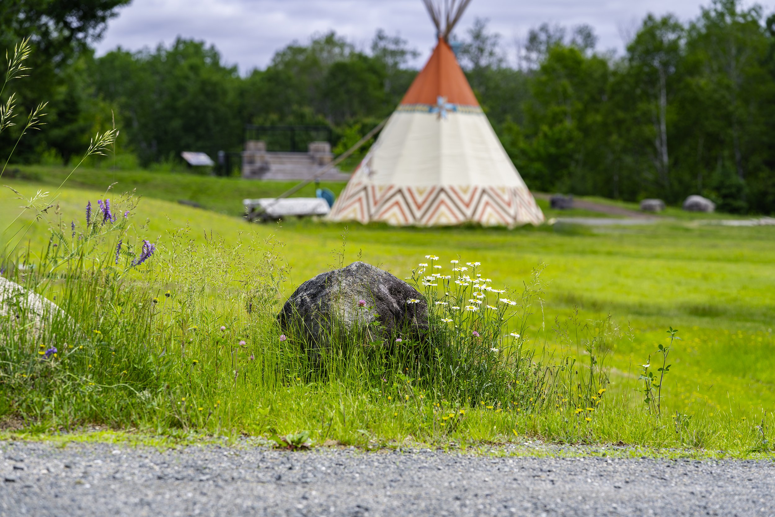 Campground 047 copy.jpg