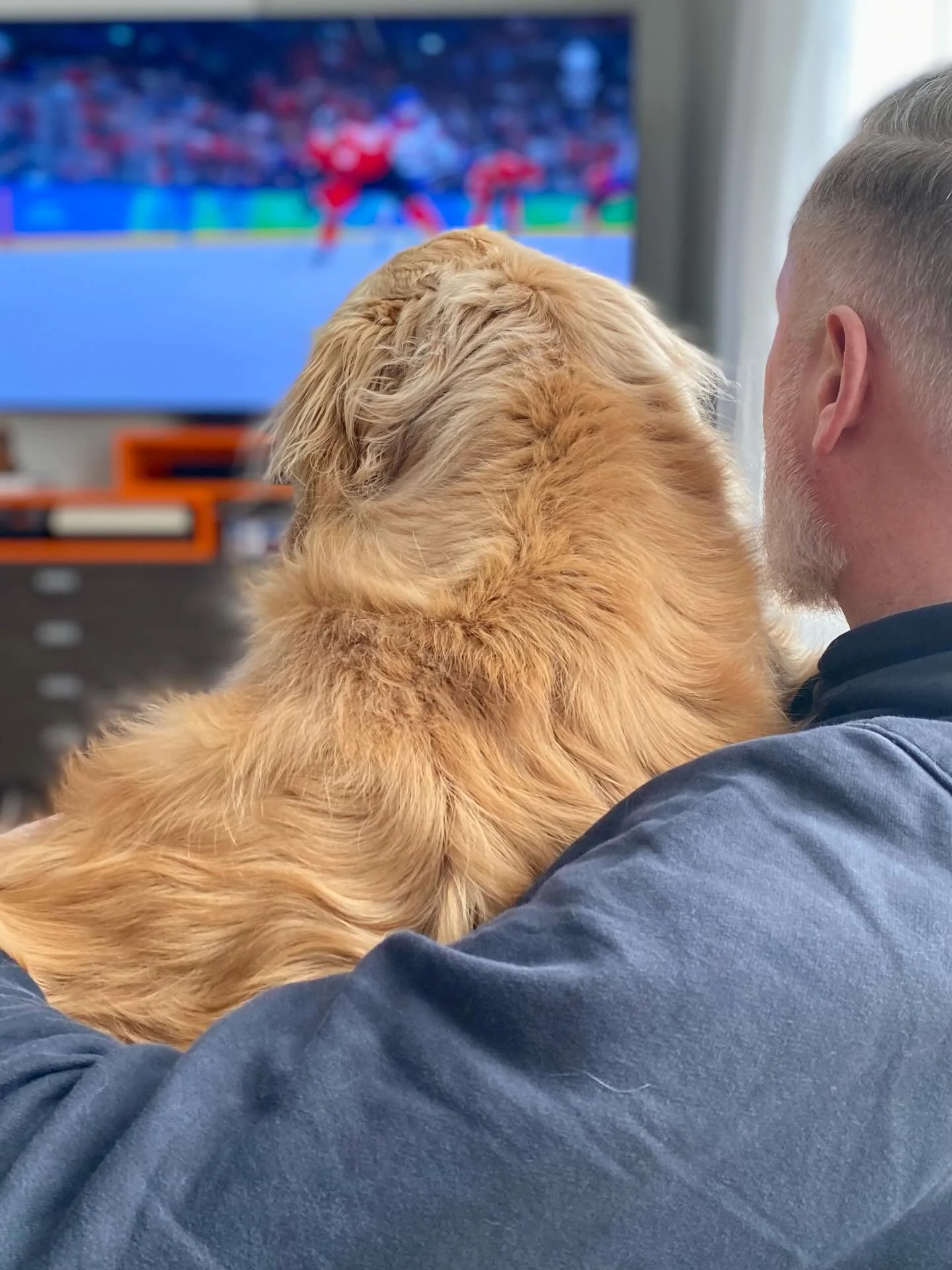 Go Canada! #olympics #coleharbour #hockey #goldenretriever