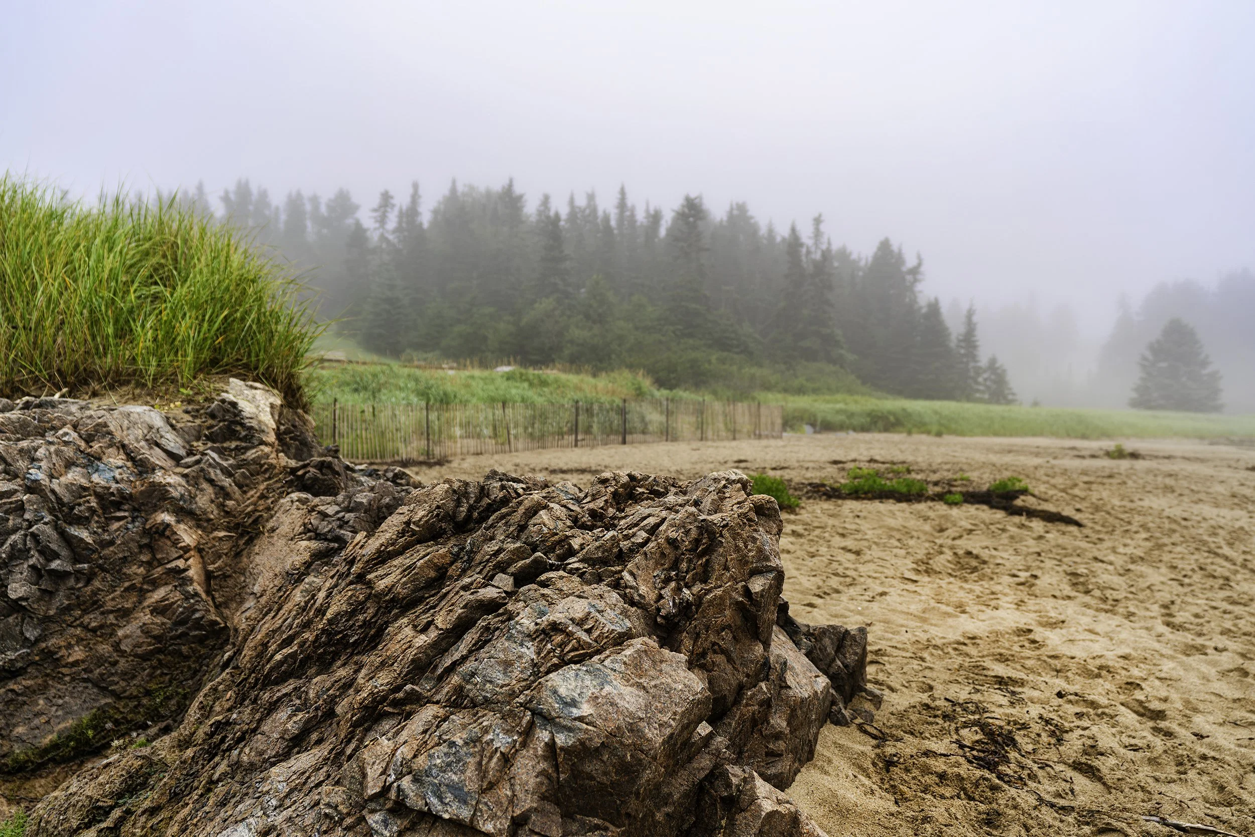 DSC02666-Edit.jpg
