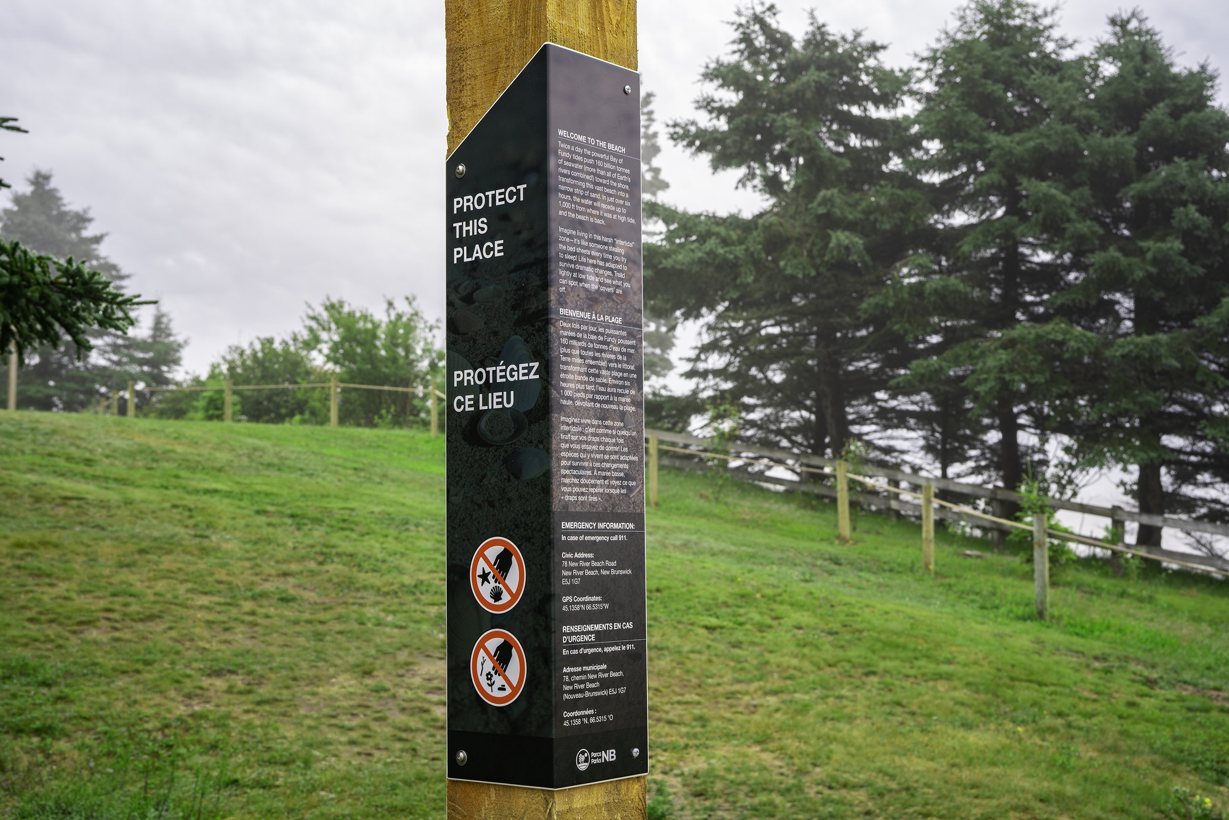 DSC02737-Edit.jpg