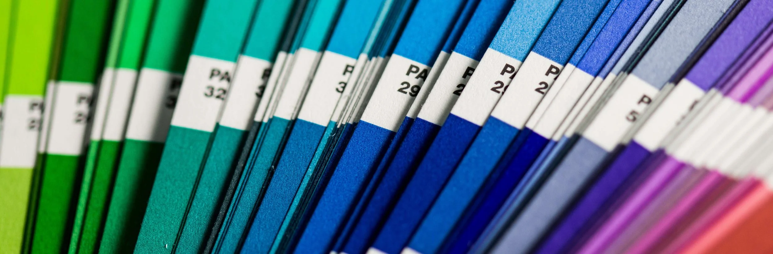 Graphic Design Banner.jpeg